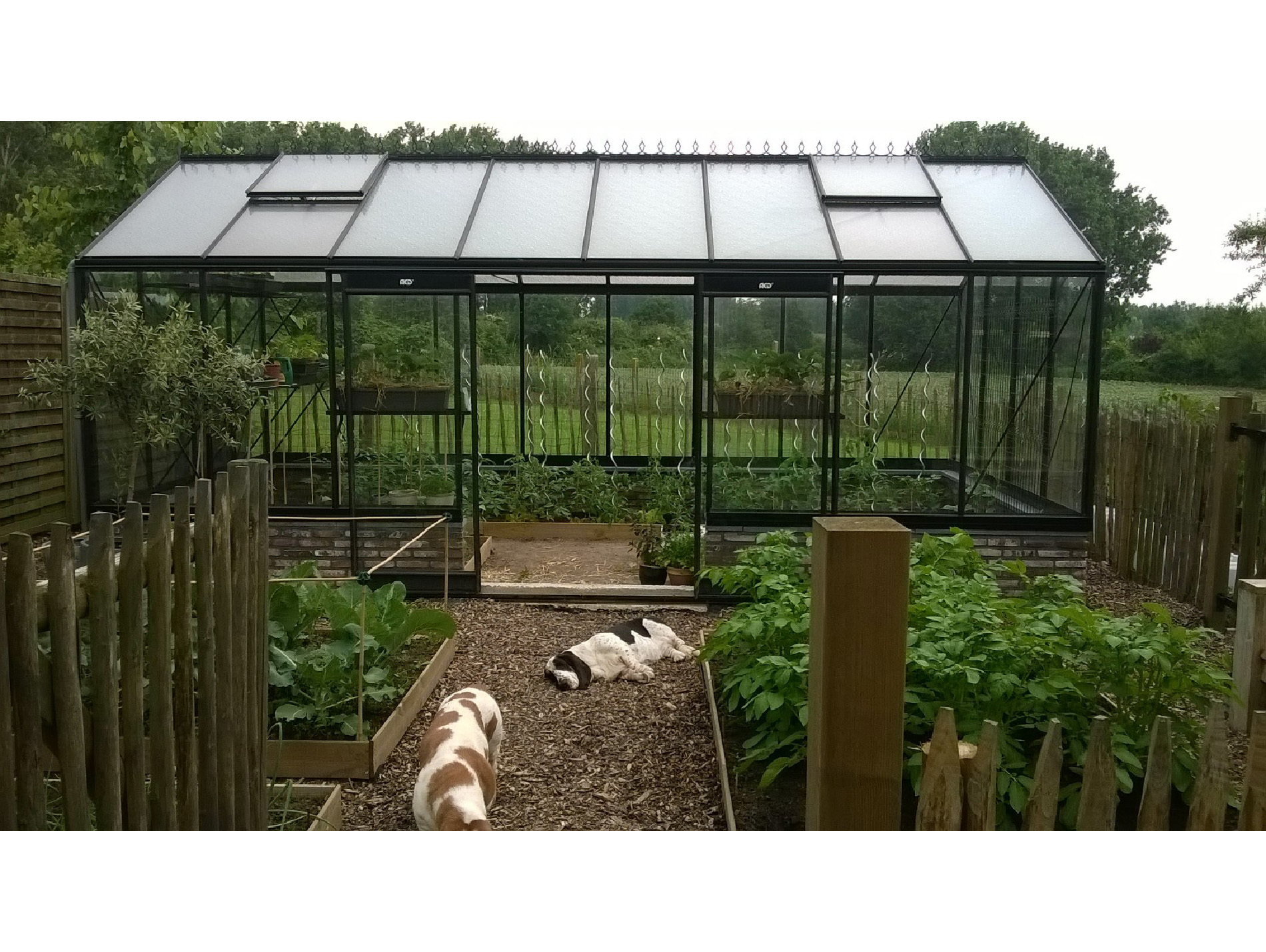 Serre ACD Prestige R308 Blackline 18.15m²