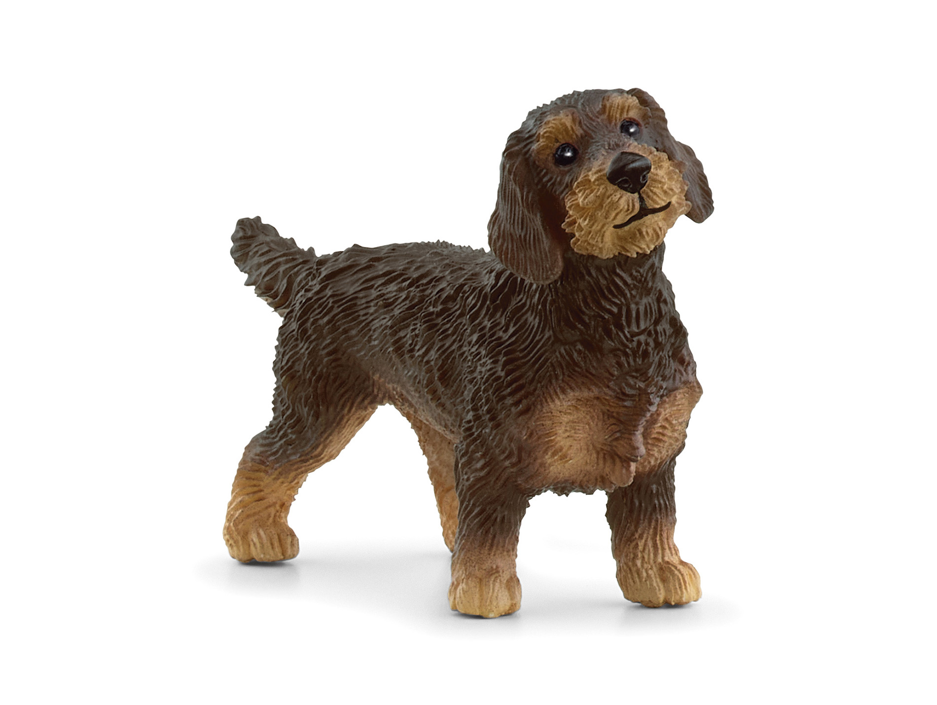 Figurine Teckel à poil dur SCHLEICH