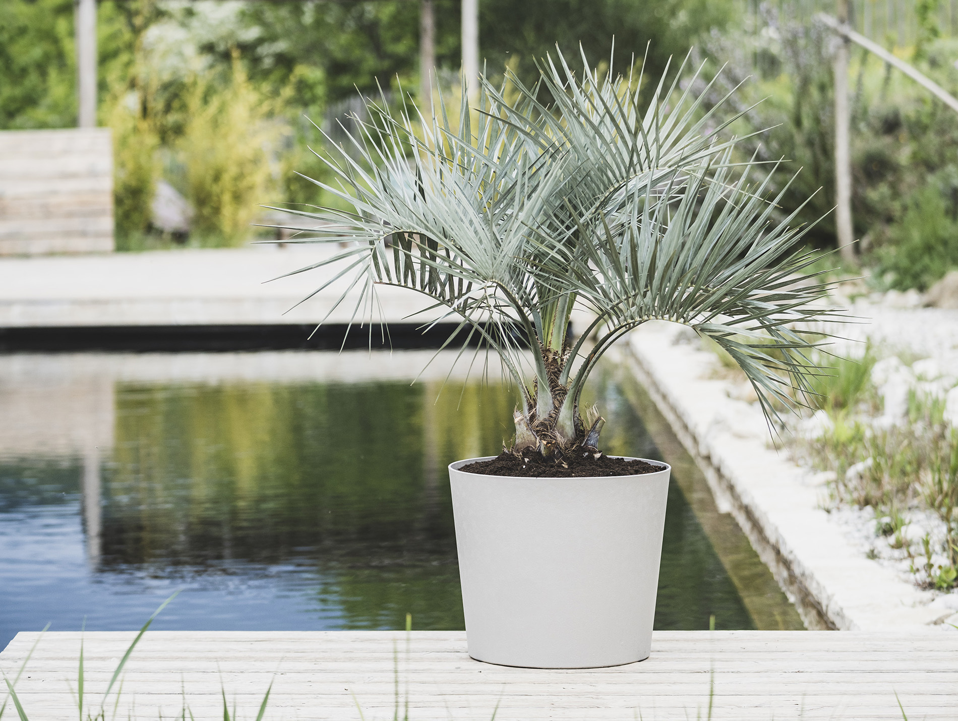 Pot POETIC Element conique calcaire Ø50cm 62,2l
