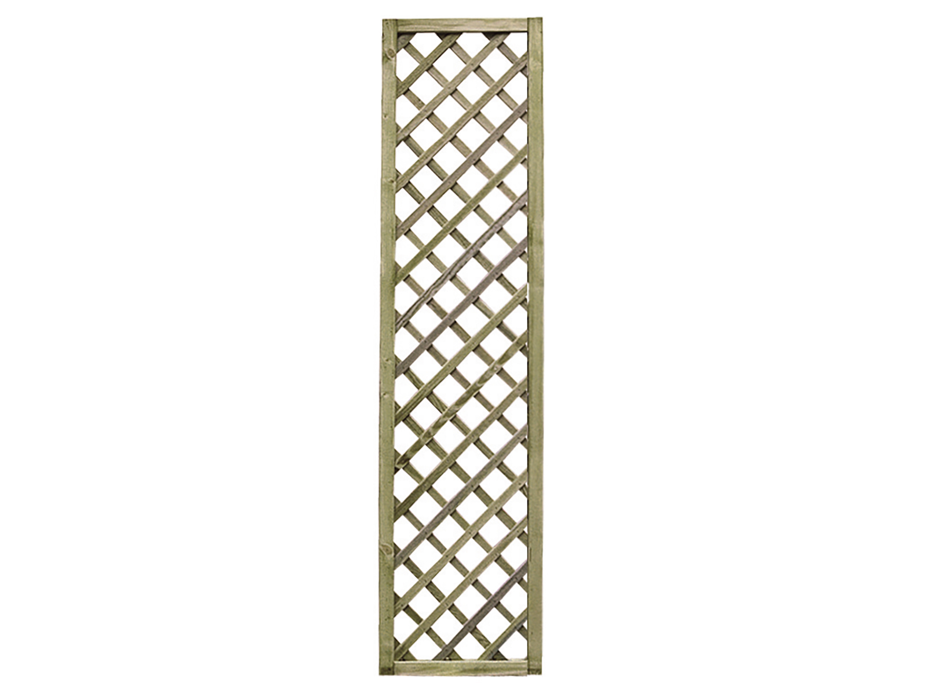 Treillis CERLAND Premices vert 40x180cm