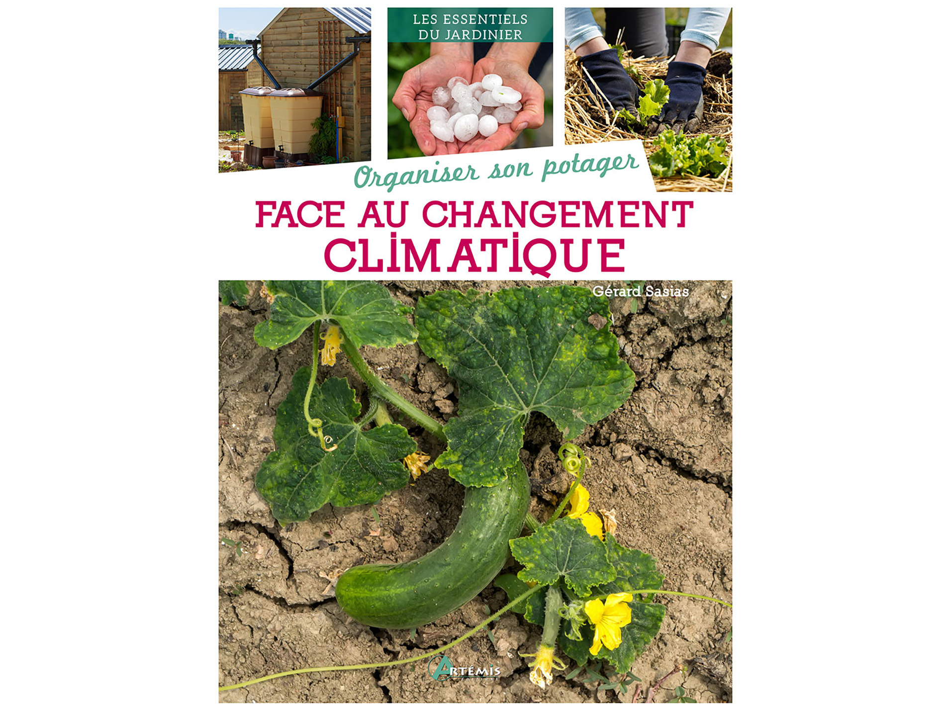 Organiser son potager face au changement climatique ARTEMIS