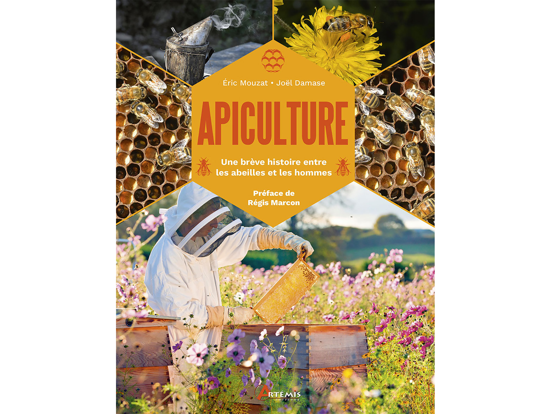 Apiculture, une histoire entre les abeilles et les hommes