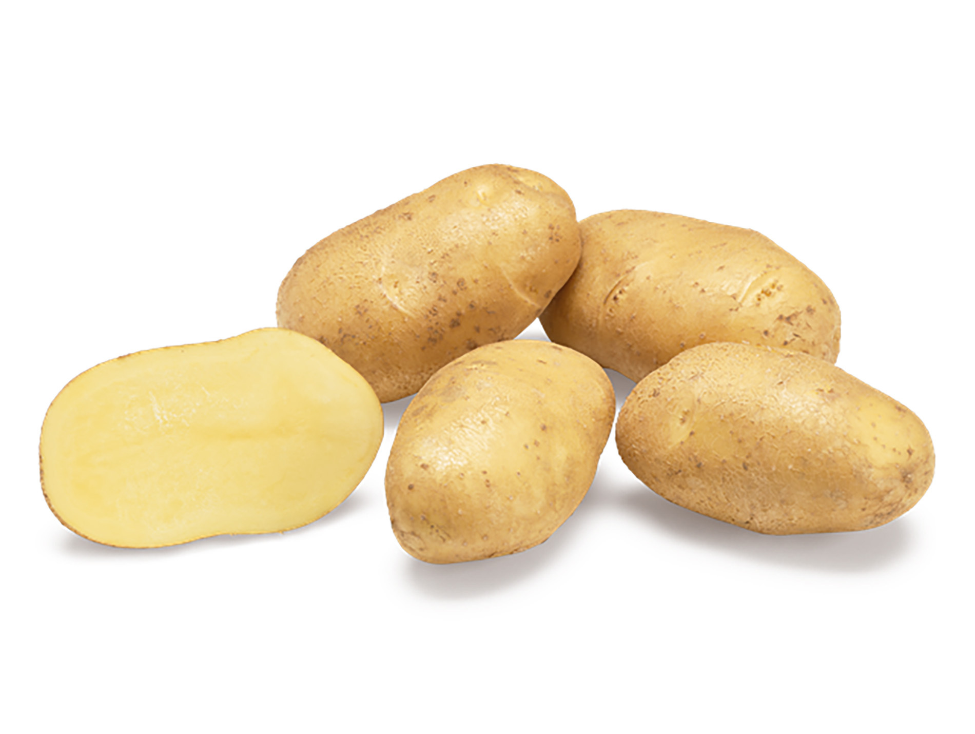 Plants de pommes de terre BABYLON 28/35 1.5kg + 500g