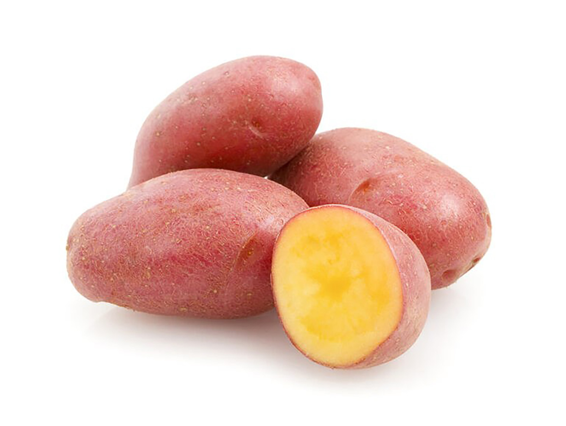 Plants pomme de terre CAMEL 28/35 1.5kg