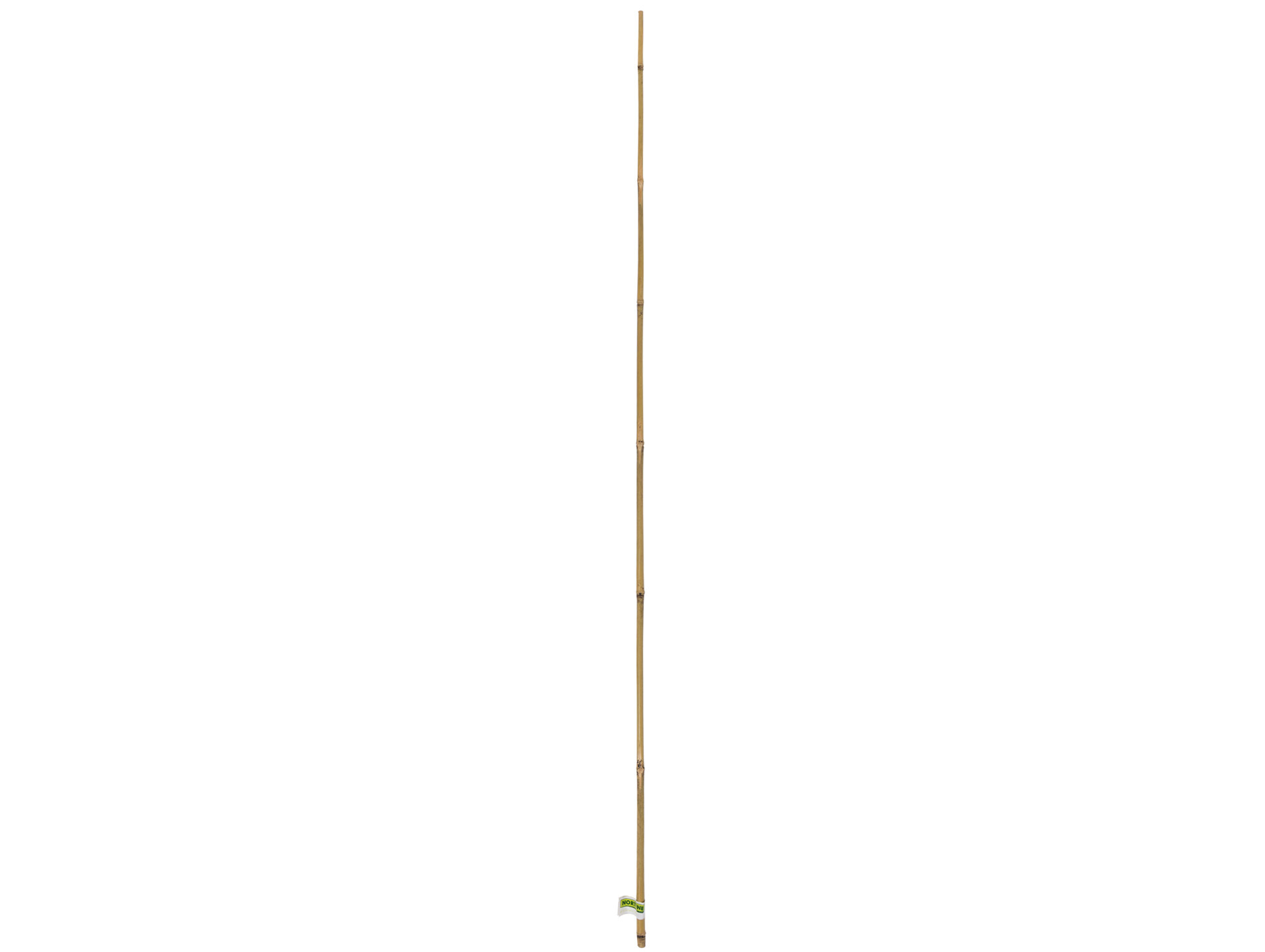 Tuteur bambou naturel 1,50m x2 NORTENE