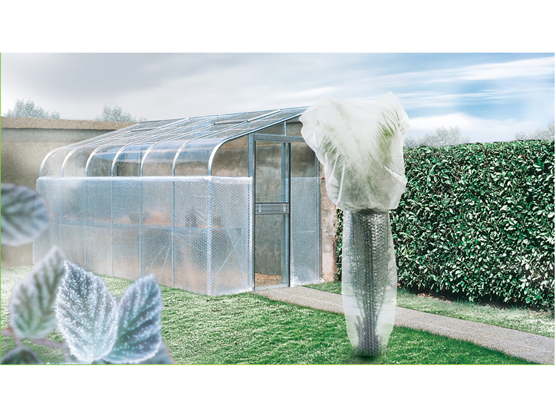 Film à bulle ISOFILM transparent 1,20x3m