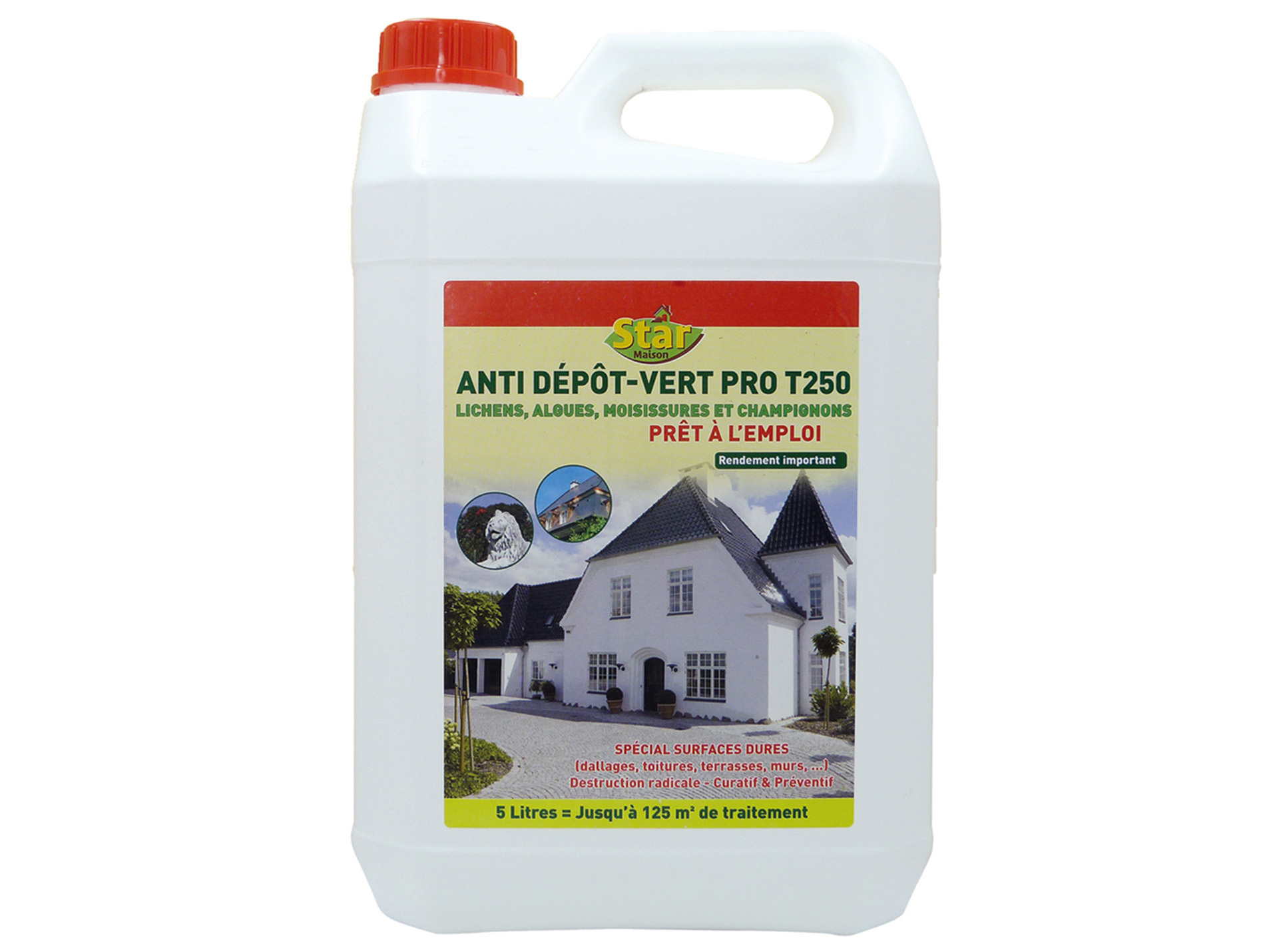 Traîtement STAR MAISON Anti-dépôts verts professionnel 5L
