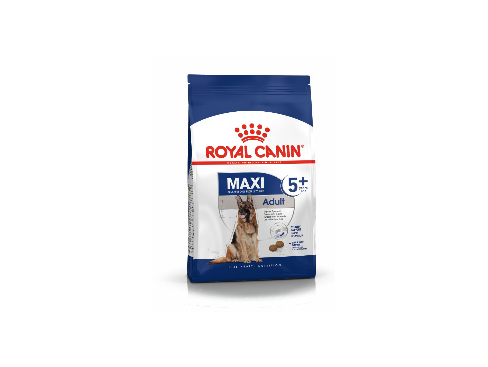 Croquettes grand chien adulte +5ans ROYAL CANIN 4kg