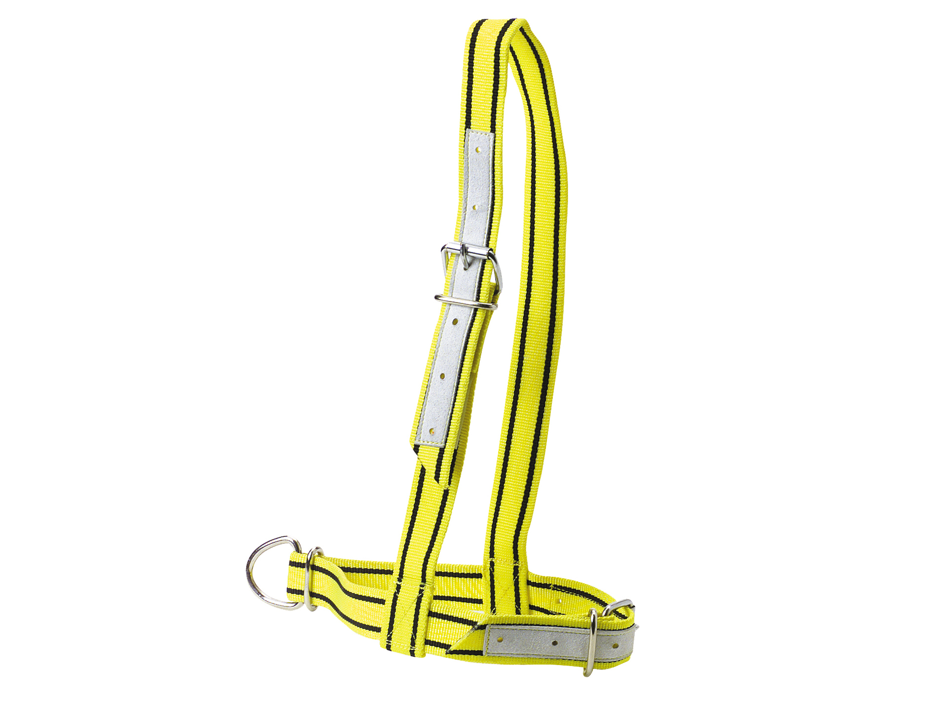 Licol KAMER nylon jaune et noir