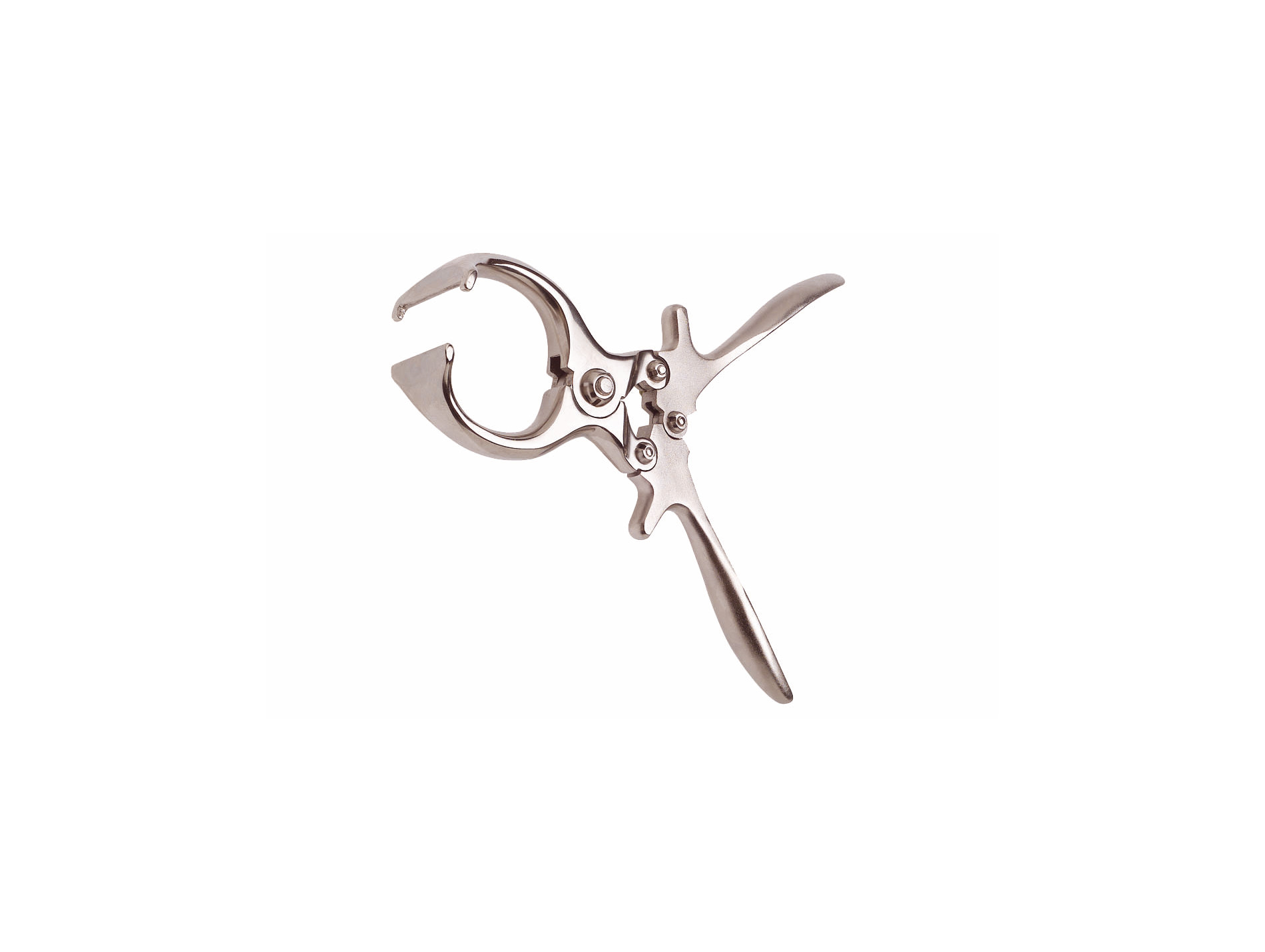 Pince KAMER à castrer acier nickelé 23cm