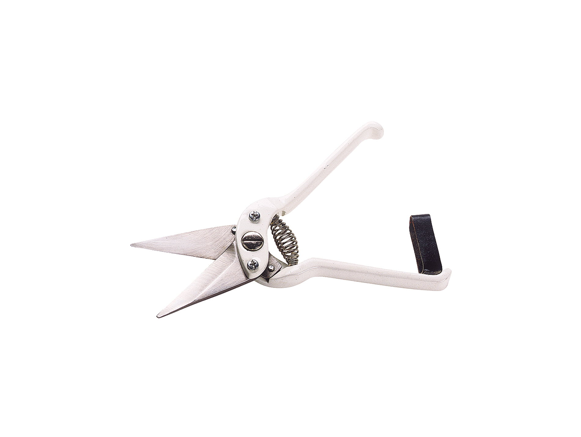 Cisaille onglons KAMER ovin lame large sans denture 6cm