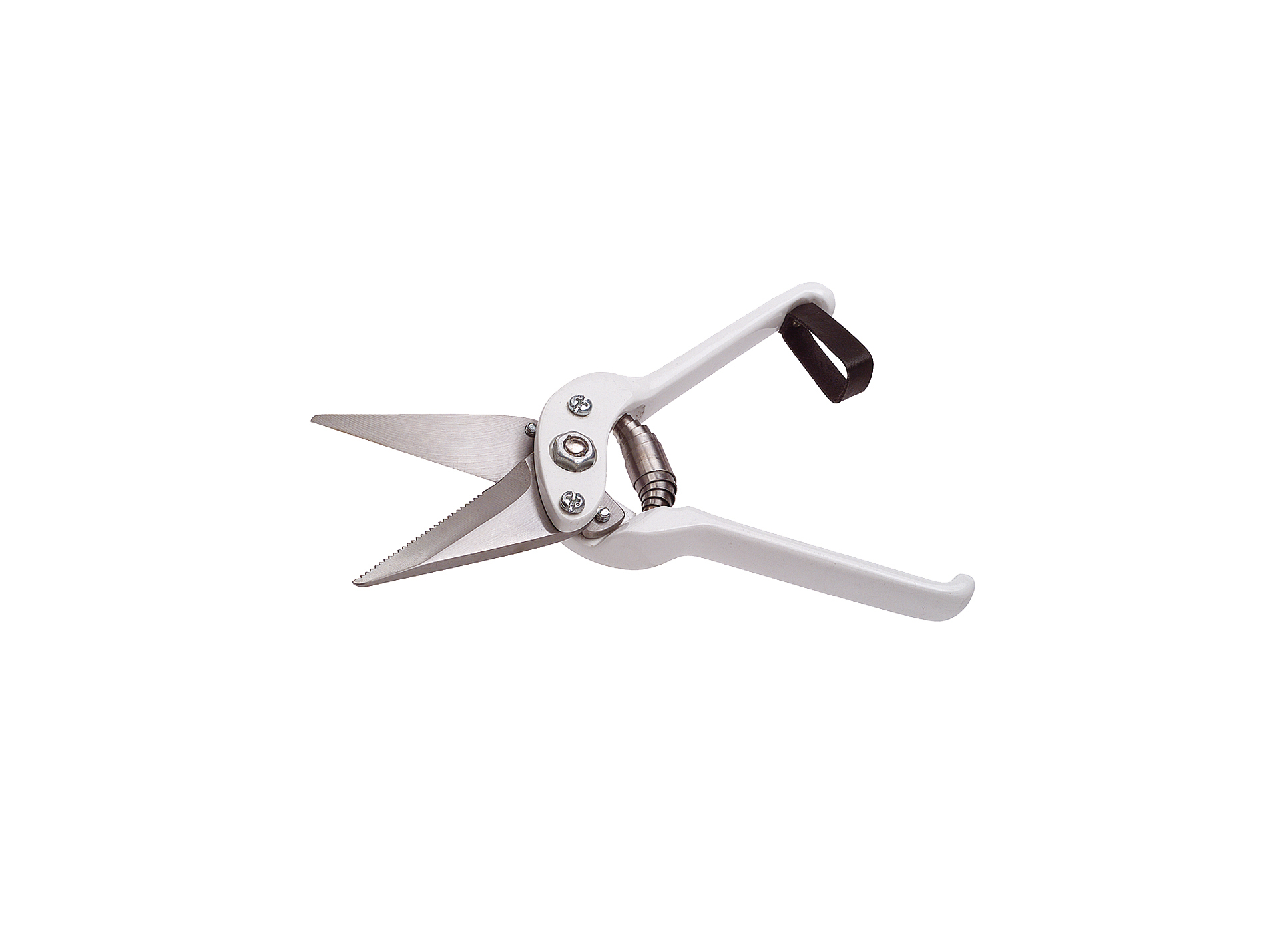 Cisaille KAMER crantéeonglon mouton lame 6cm