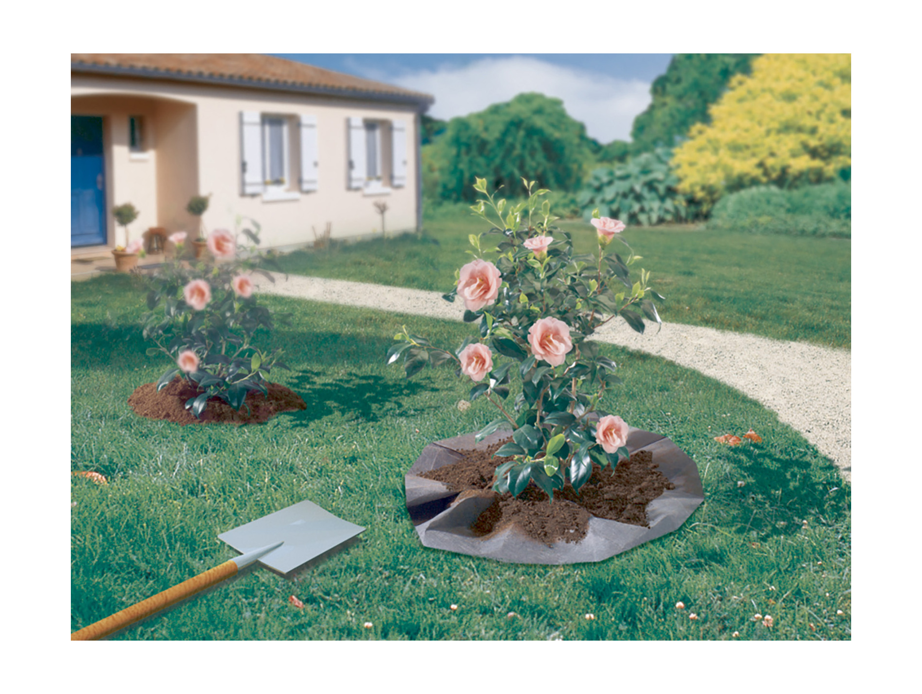 Feutre de plantation pour arbustes NORTENE Terraplant l.1,5xL.1,5m