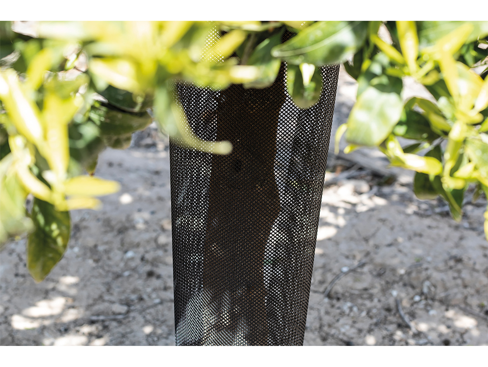 Manchon de protection anti-rongeur NORTENE H.55cm x l.10cm