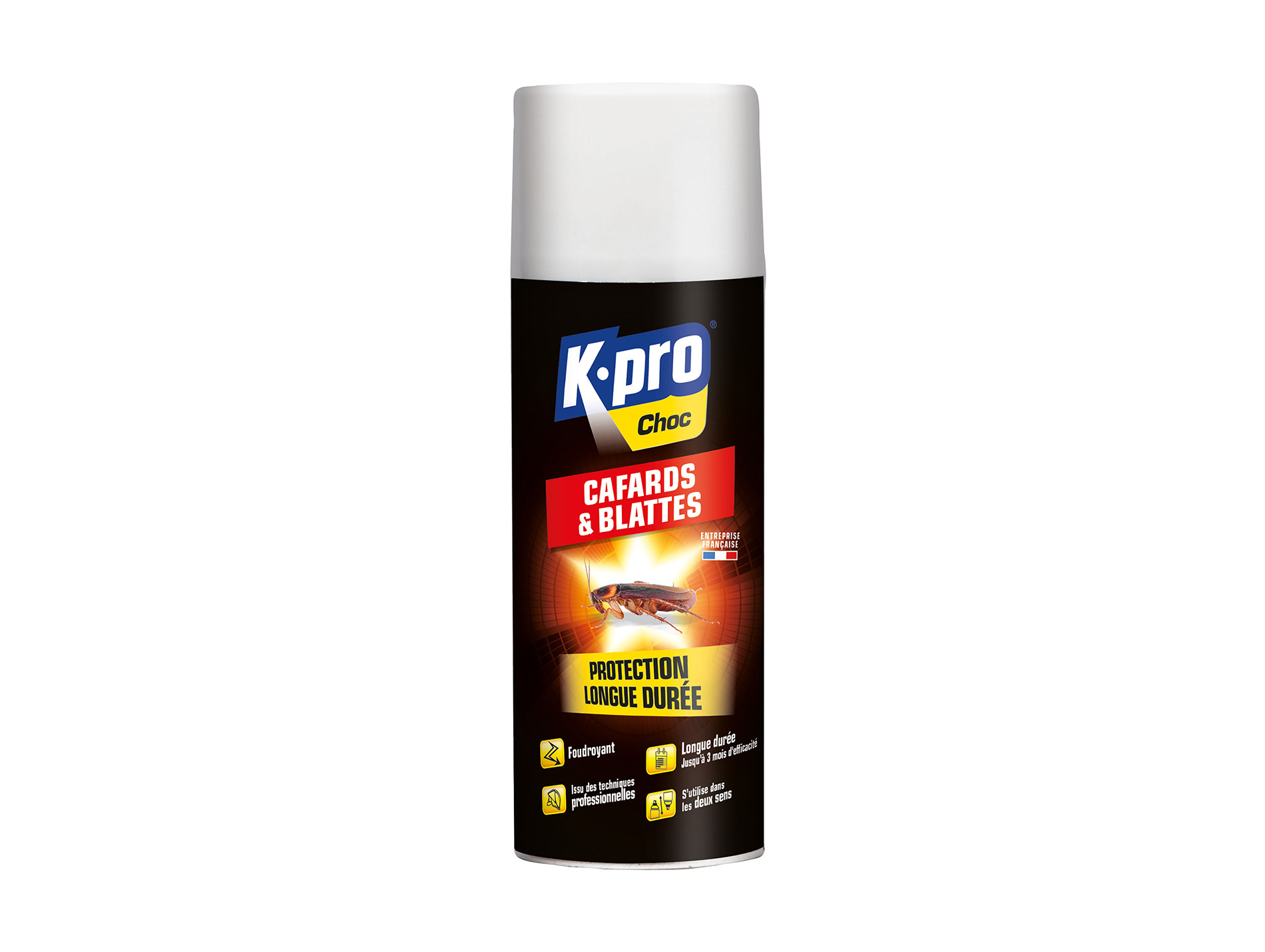 Aérosol anti-blattes et cafards 400ml KAPO Choc