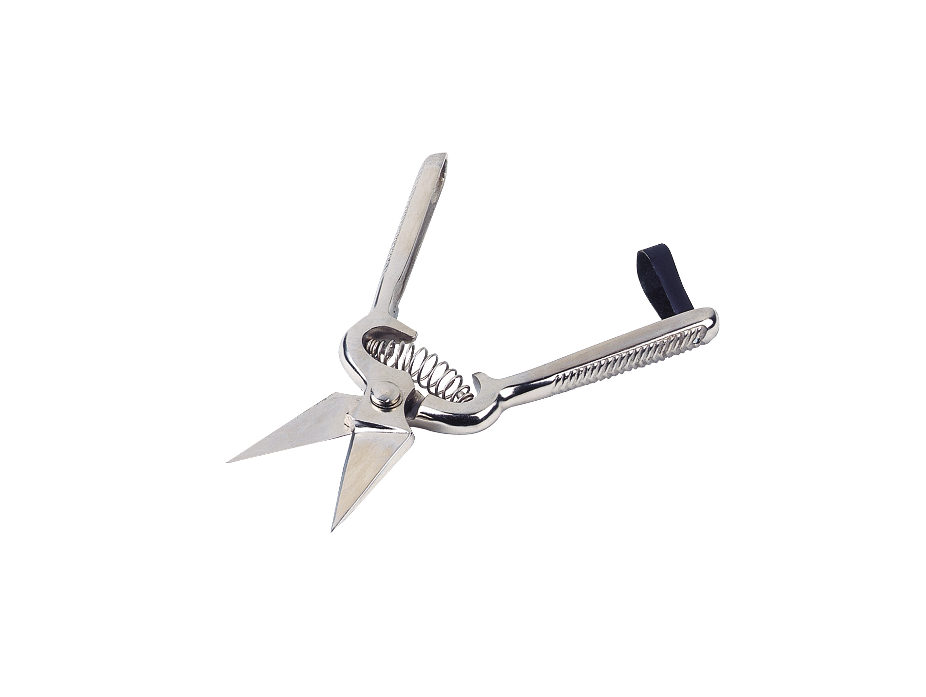 Cisaille onglons KAMER ovin lame courte sans denture 6cm