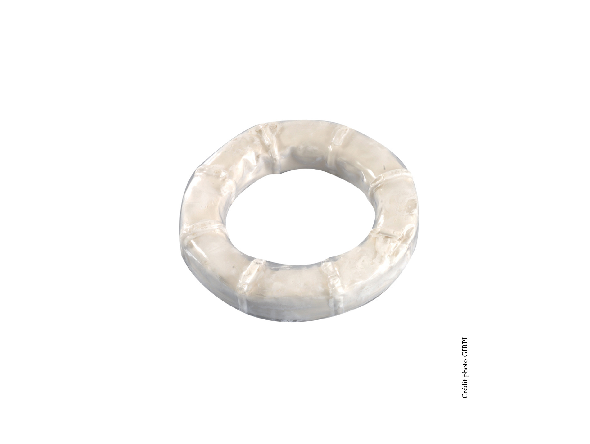 Bague de réparation universelle GIRPI pour pipe wc