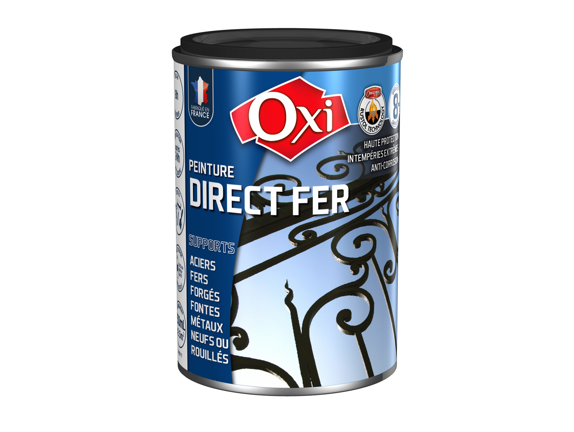 Peinture antirouille lisse OXYTOL Direct Fer noir brillant 250ml