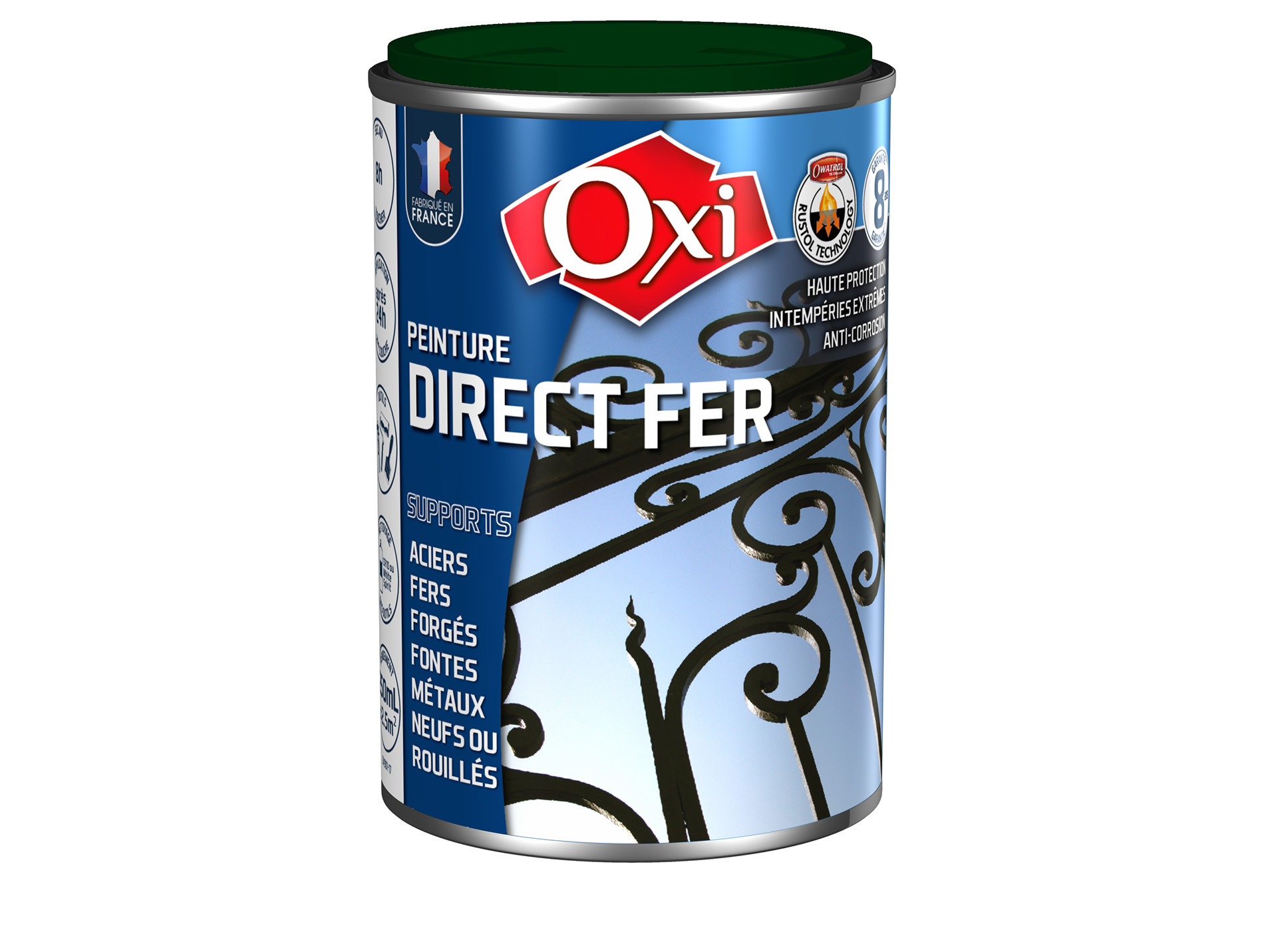 Peinture antirouille lisse OXYTOL Direct Fer vert mousse 250ml