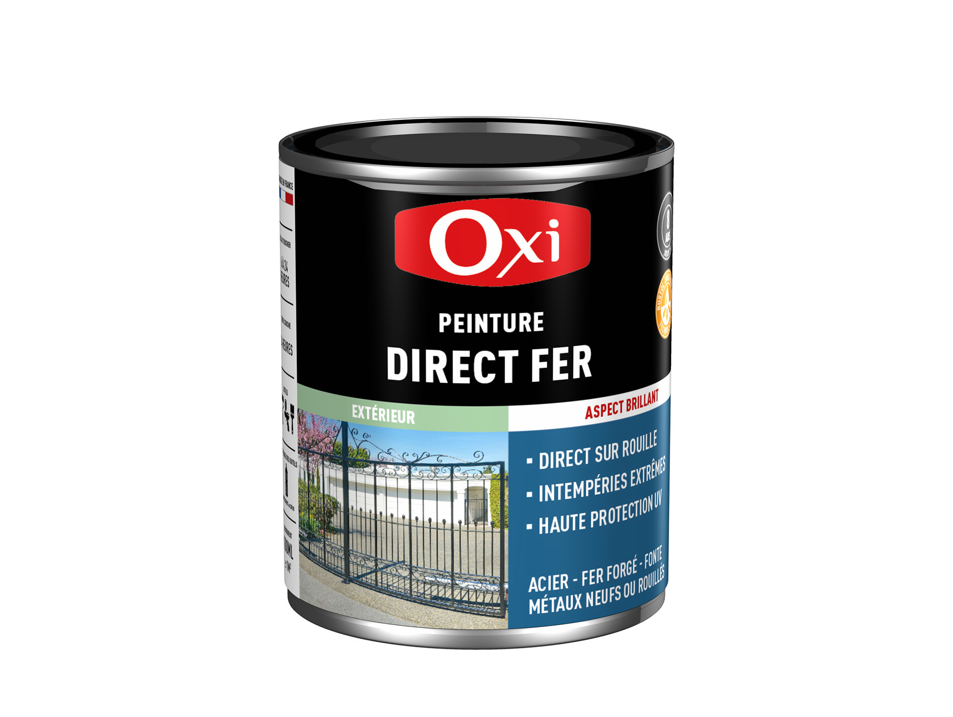 Peinture antirouille lisse OXYTOL Direct Fer noir brillant 100ml