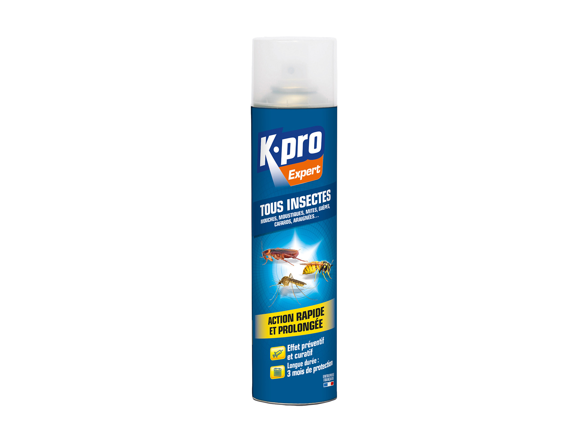 Aérosol insecticide 300ml KAPO EXPERT