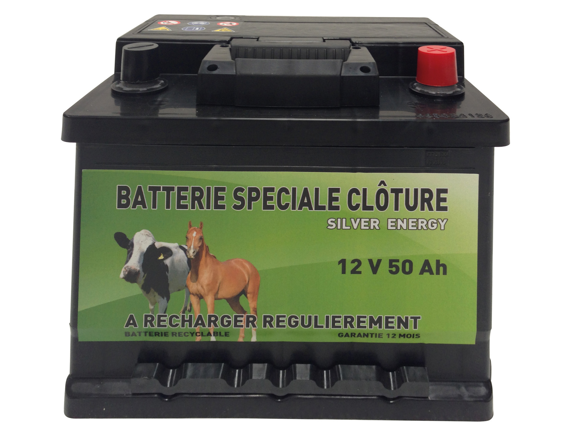 Batterie cloture SILVER ENERGY 12V 50AH