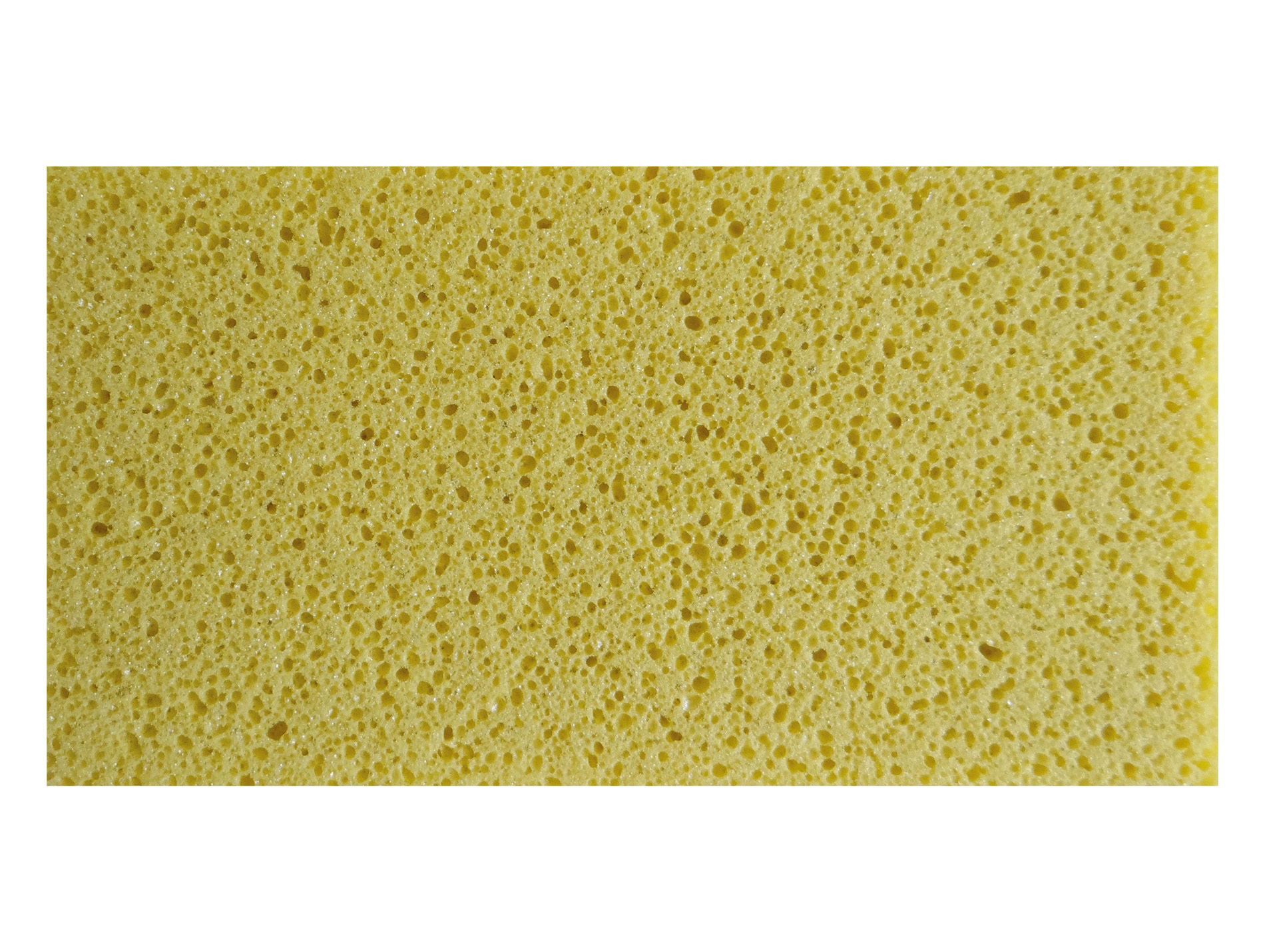 Taloche 18x33 bois semelle mousse