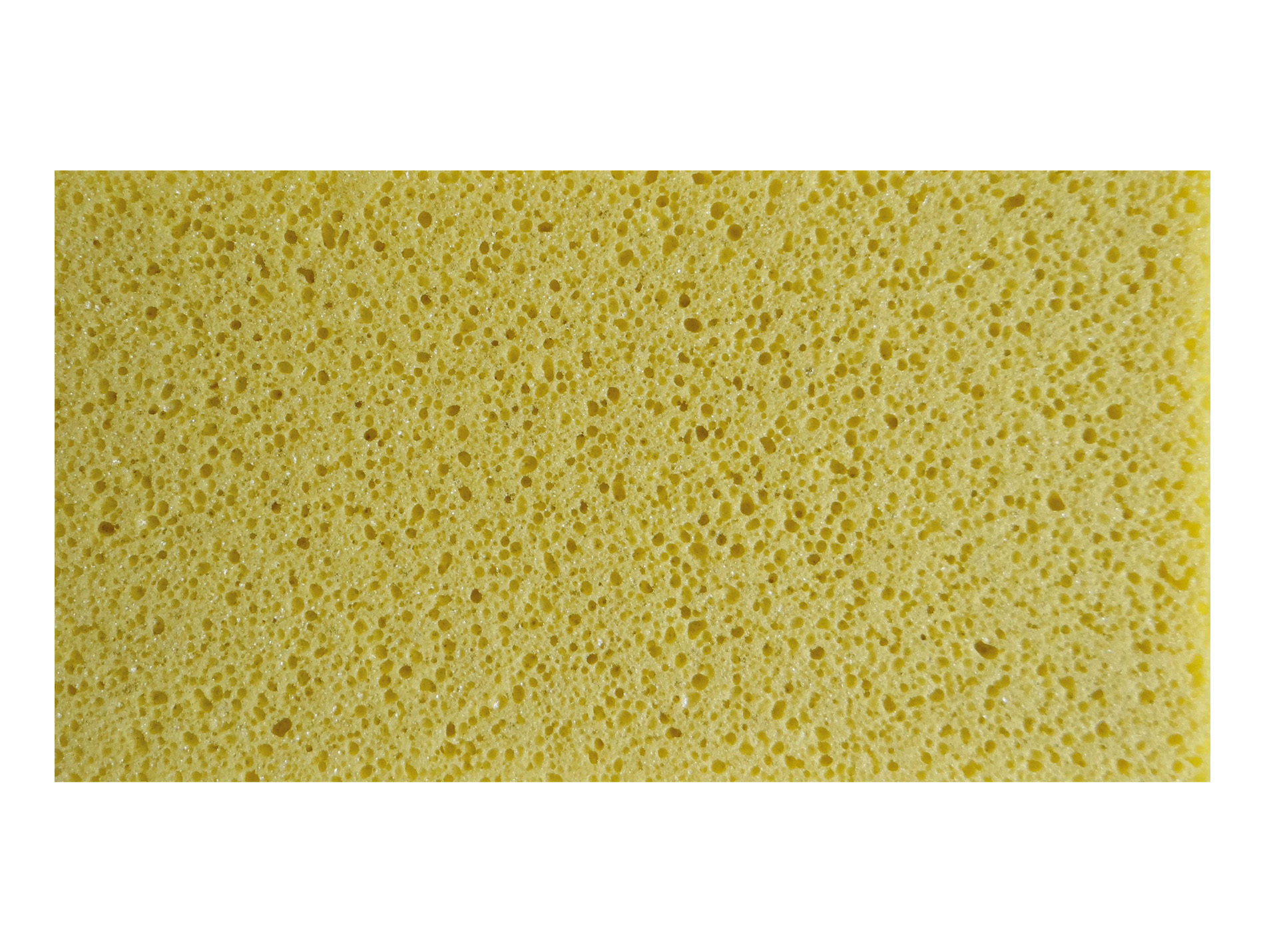 Taloche 14x25 bois semelle mousse