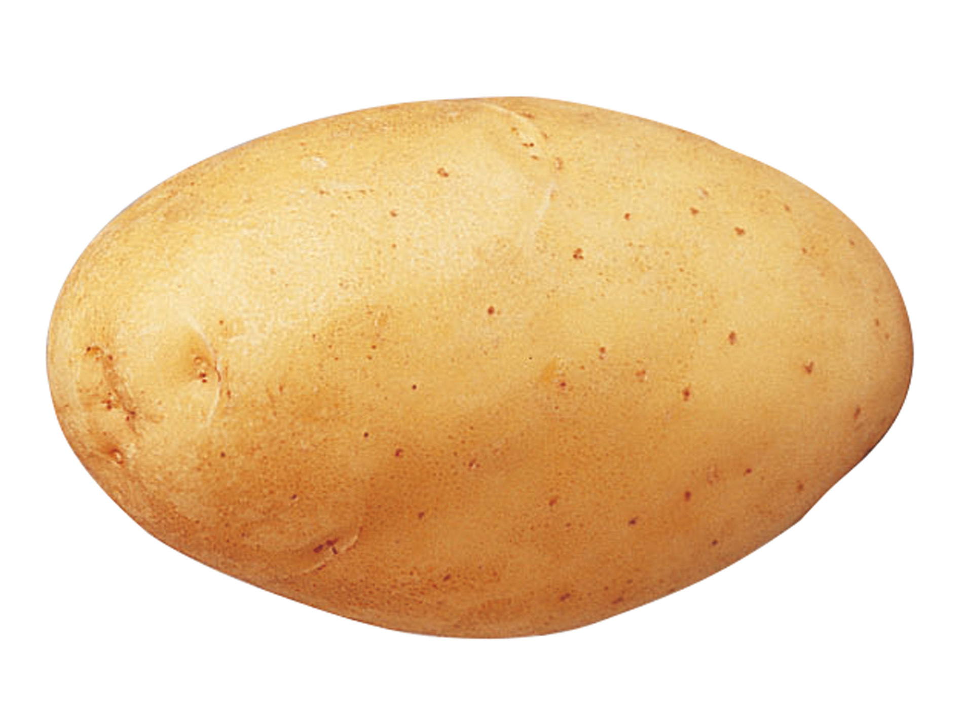 Plants de pommes de terre Monalisa 35/45 5kg
