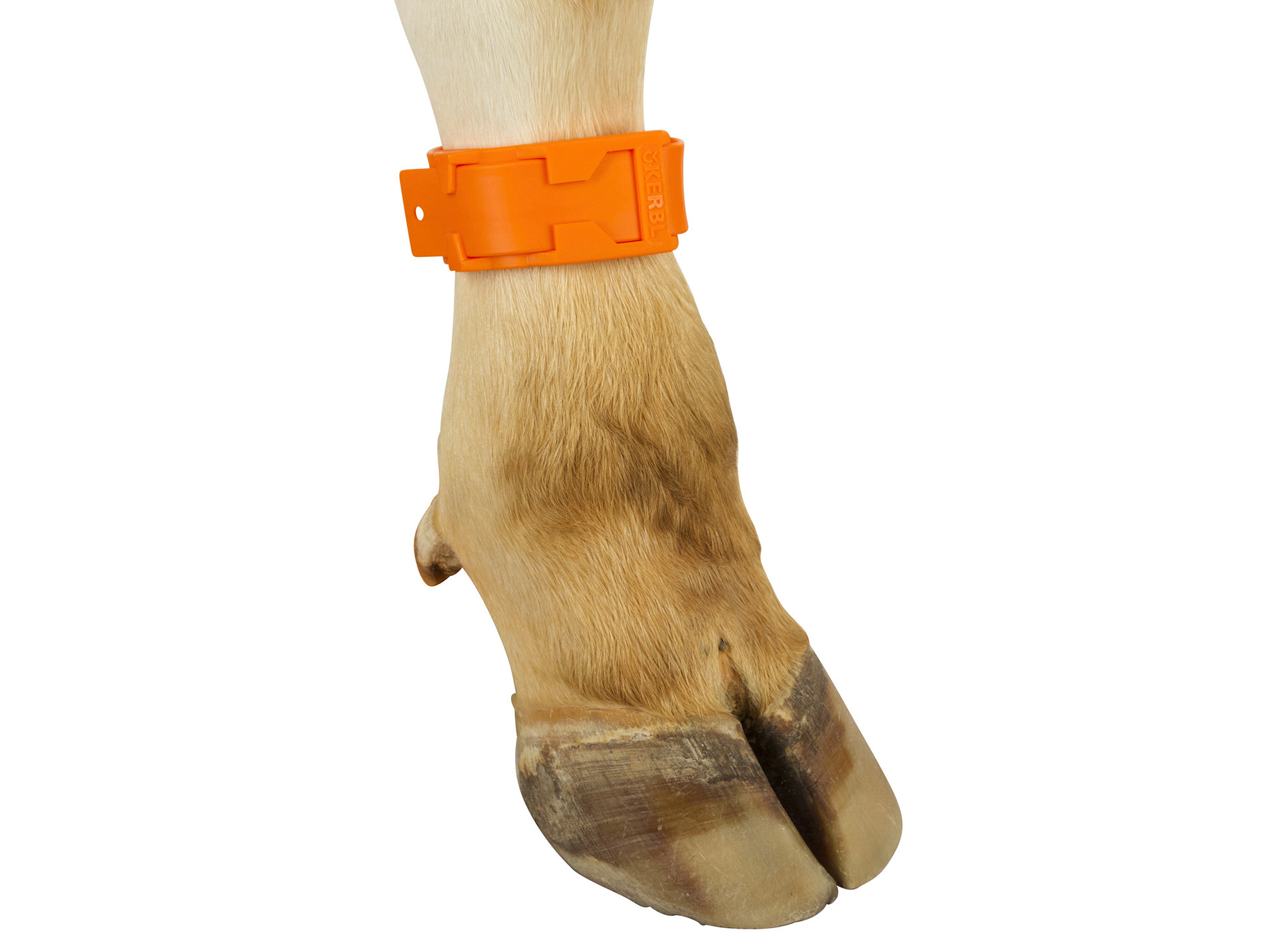 Bracelet marquage KERBL bovin pvc 37cm orange