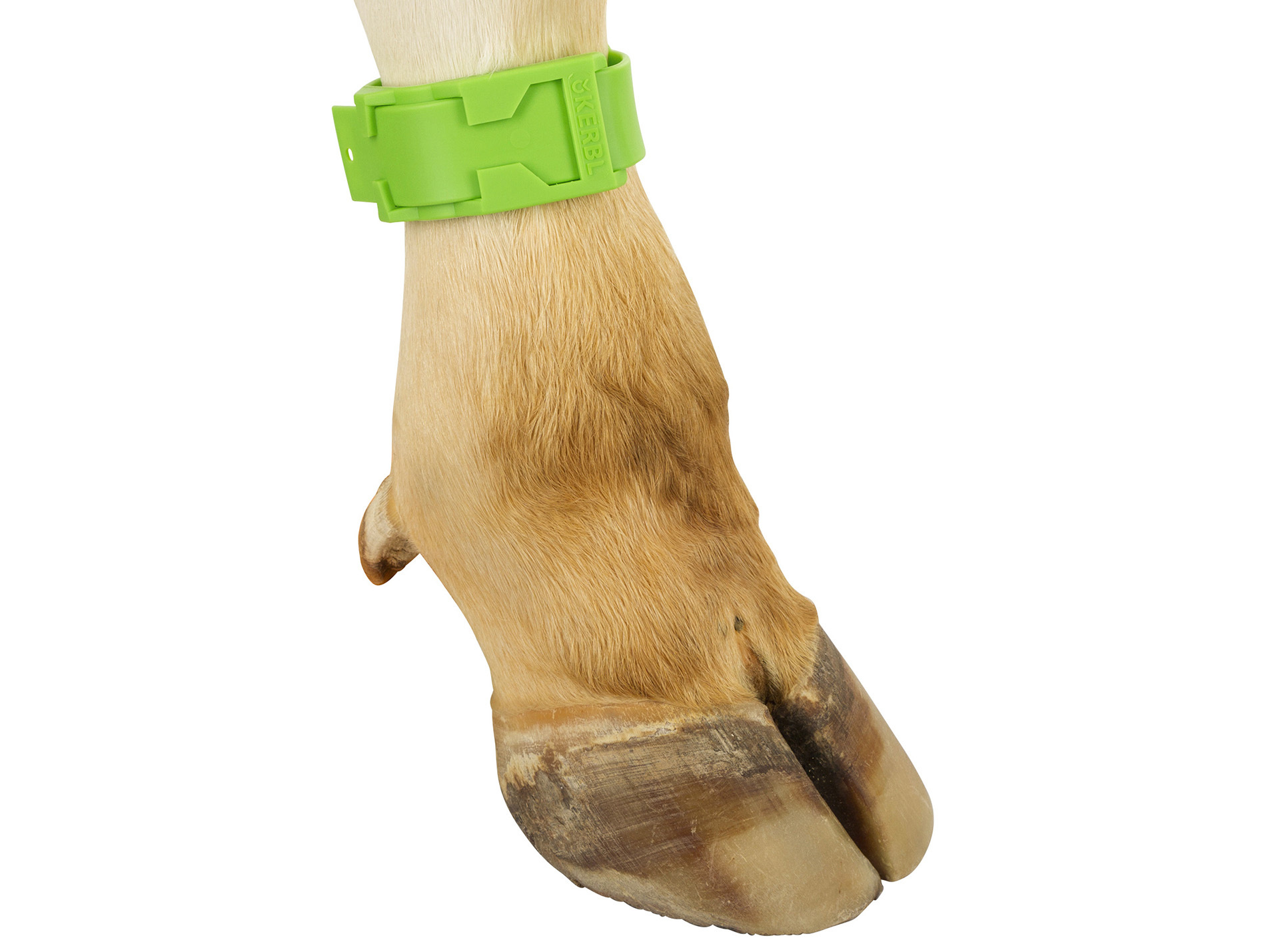 Bracelet marquage KERBL bovin pvc 37cm vert