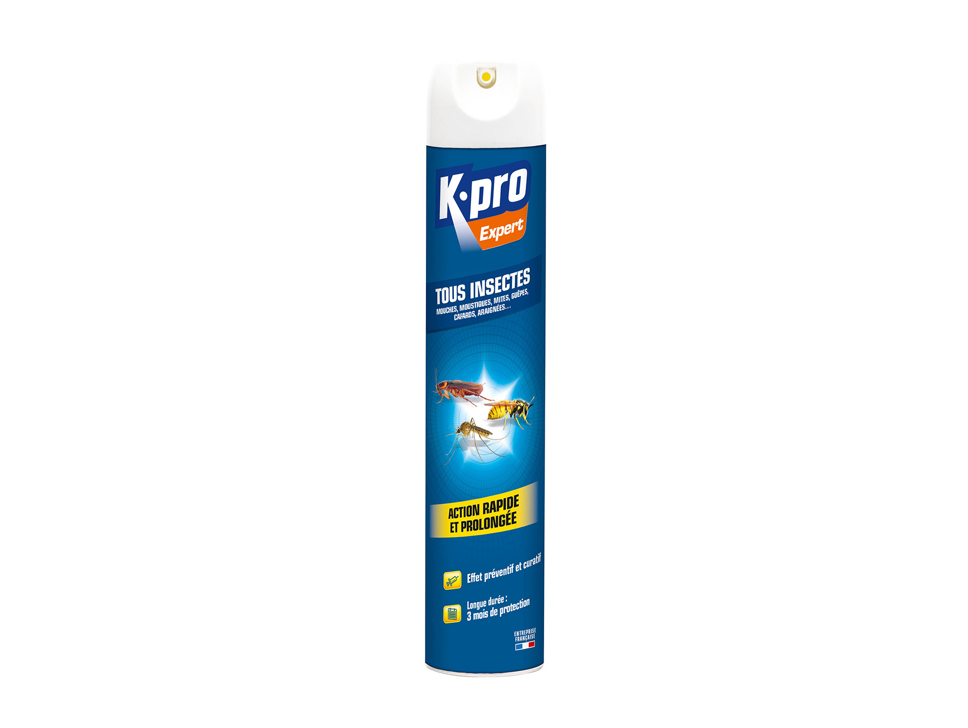 Aérosol insectes volants rampants 500ml KAPO Expert