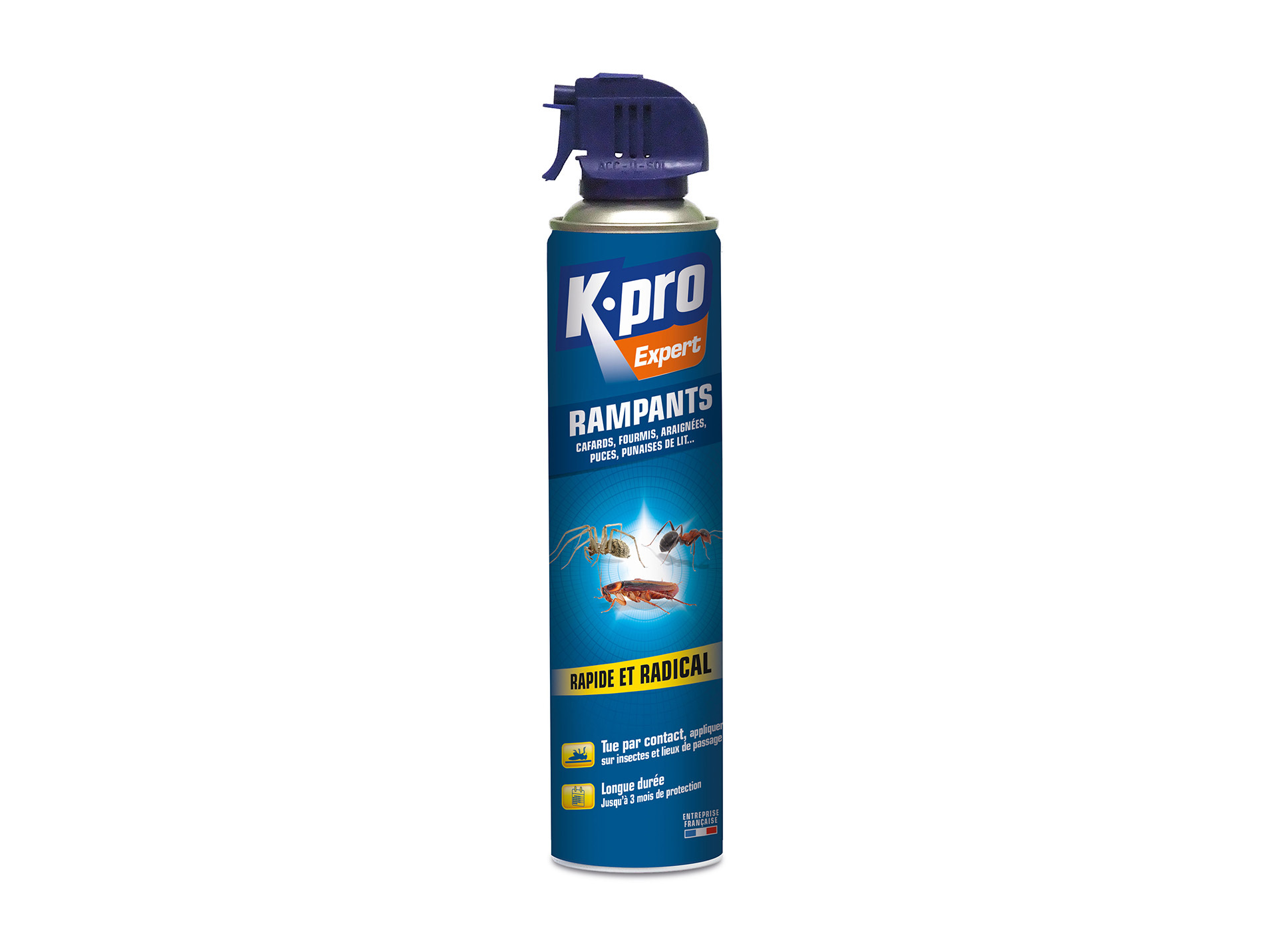 Aérosol anti insectes rampants 400ml KAPO Expert
