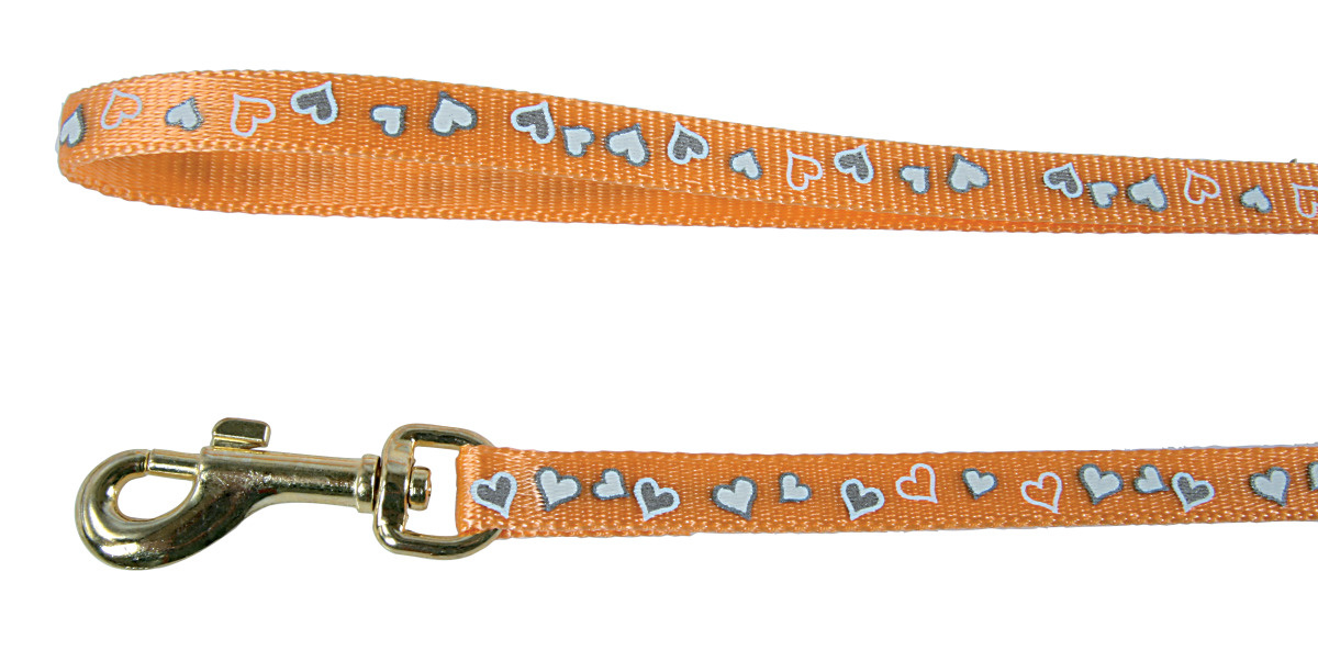Laisse chat coeurs réfléchissants 1m orange