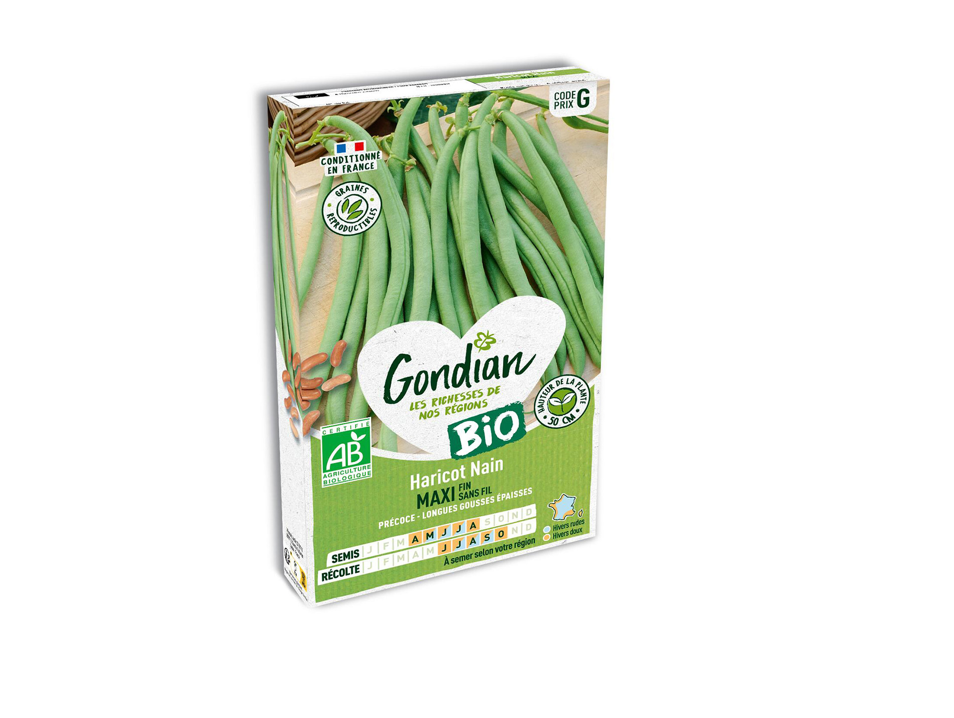 Haricot nain Maxi BIO GONDIAN Série G
