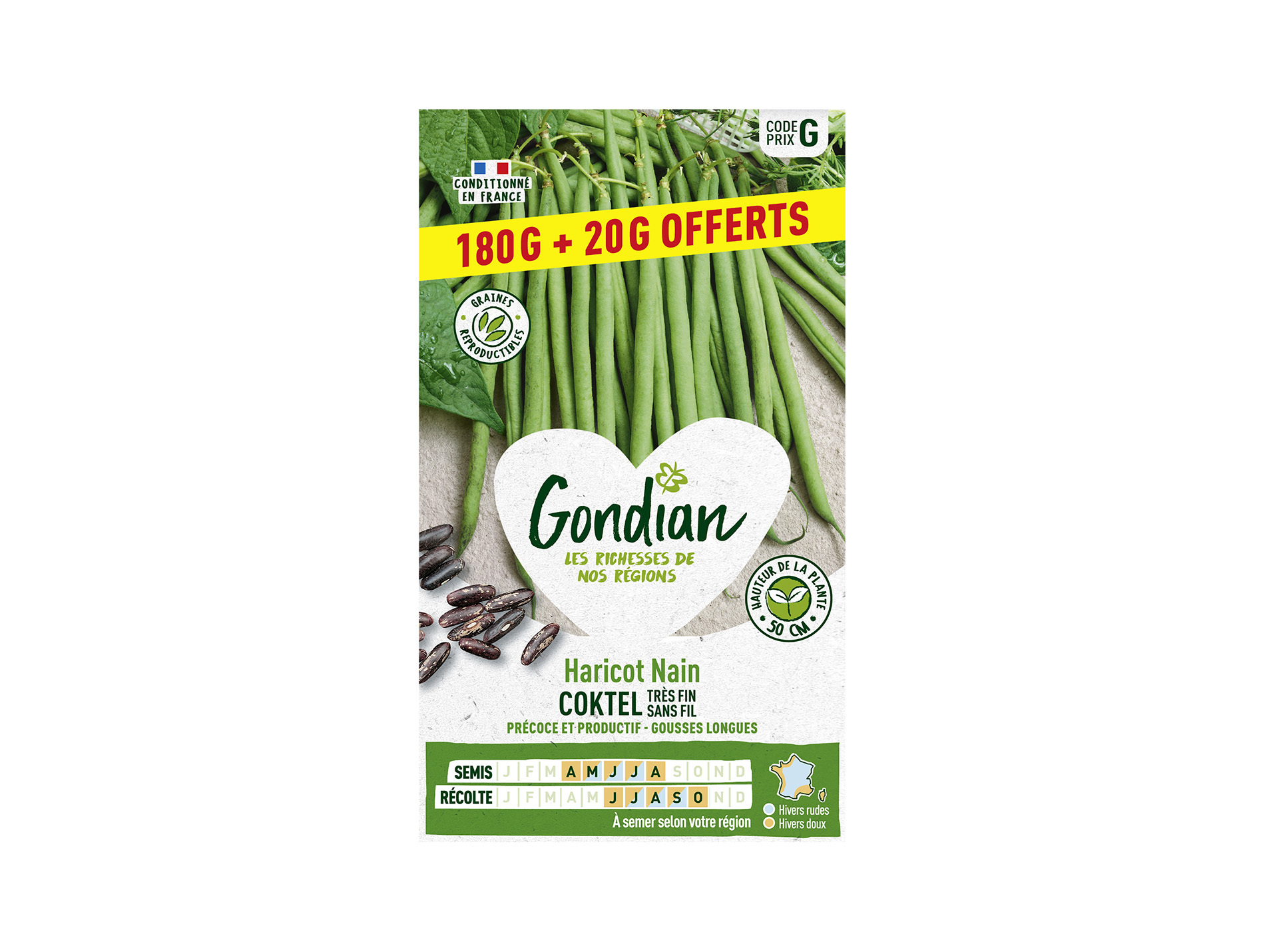 Haricot GONDIAN nain sans fil Coktel 20g