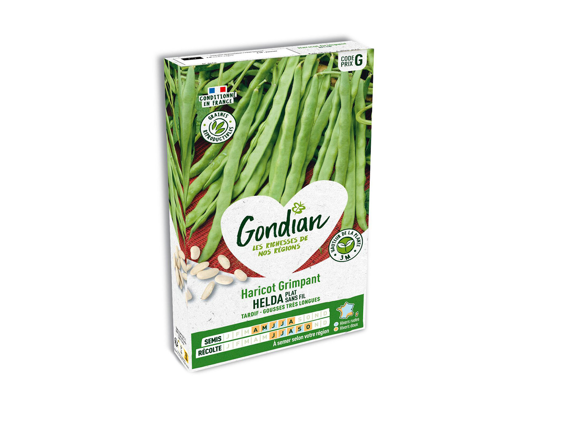 Haricot Grimpant Helda GONDIAN Série G