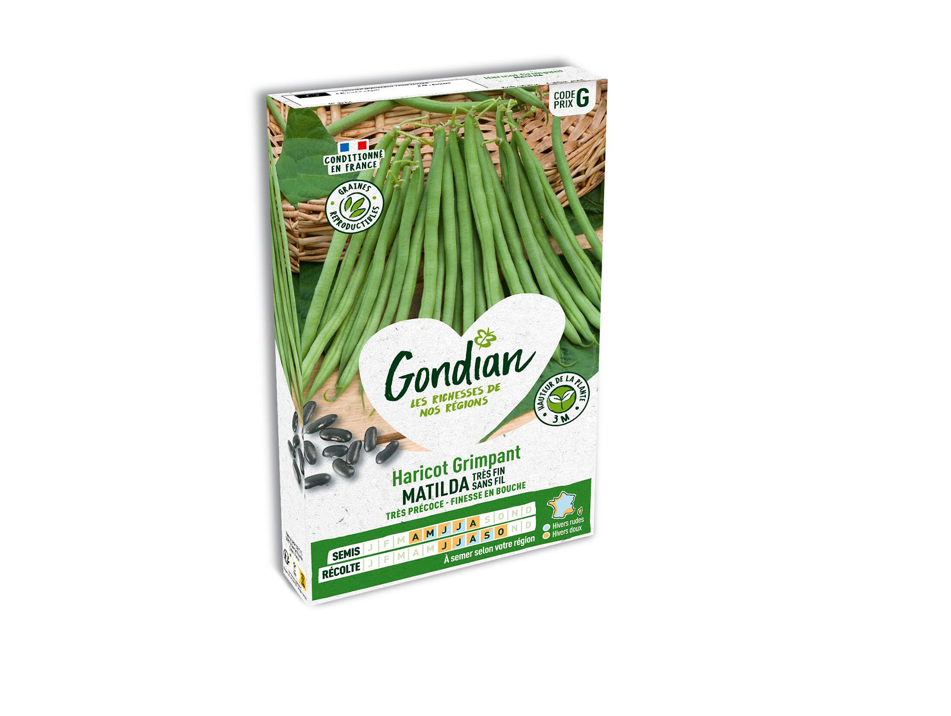 Haricot Matilda GONDIAN Série G