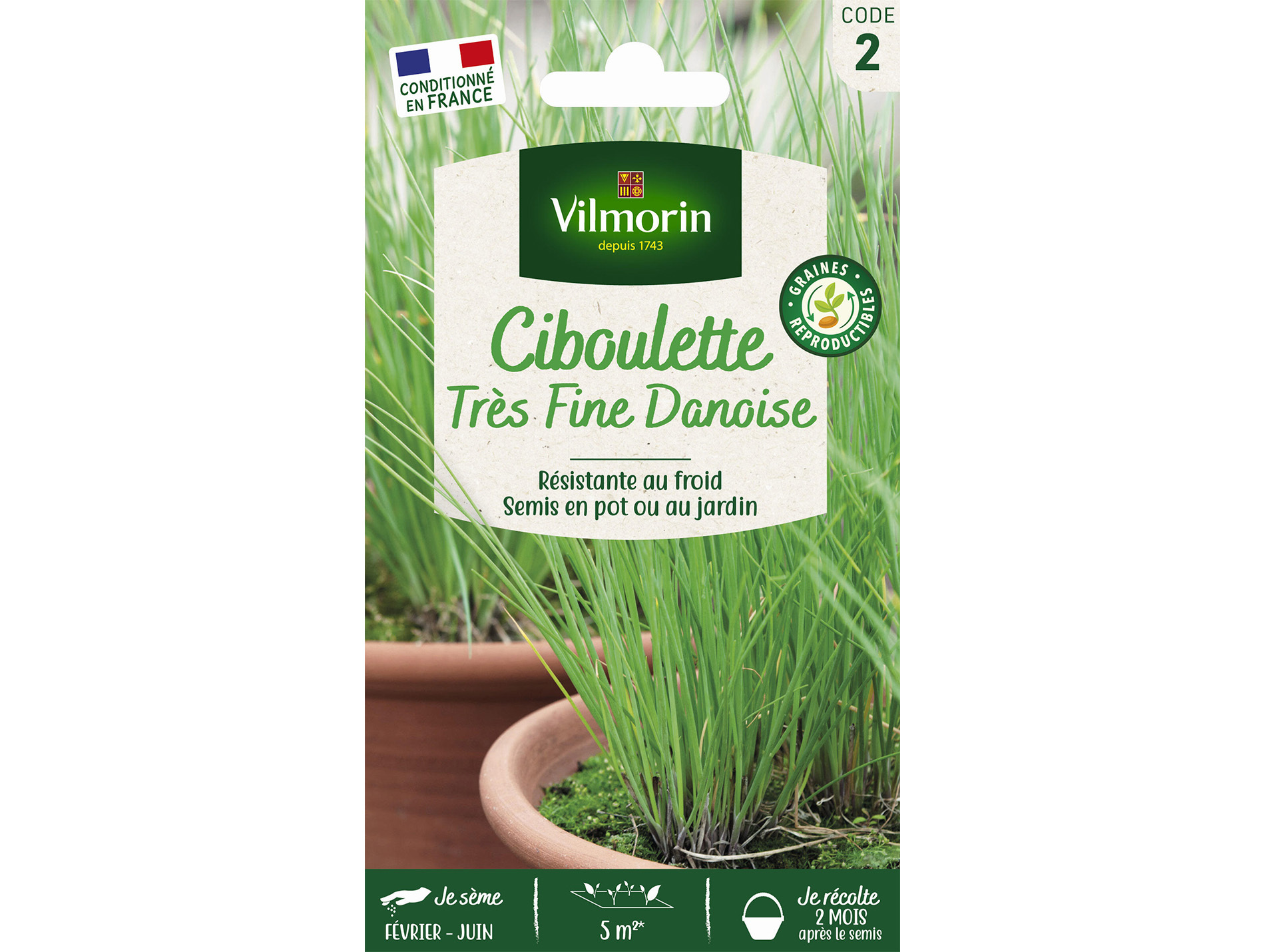Ciboulette très fine Danoise VILMORIN Série 2