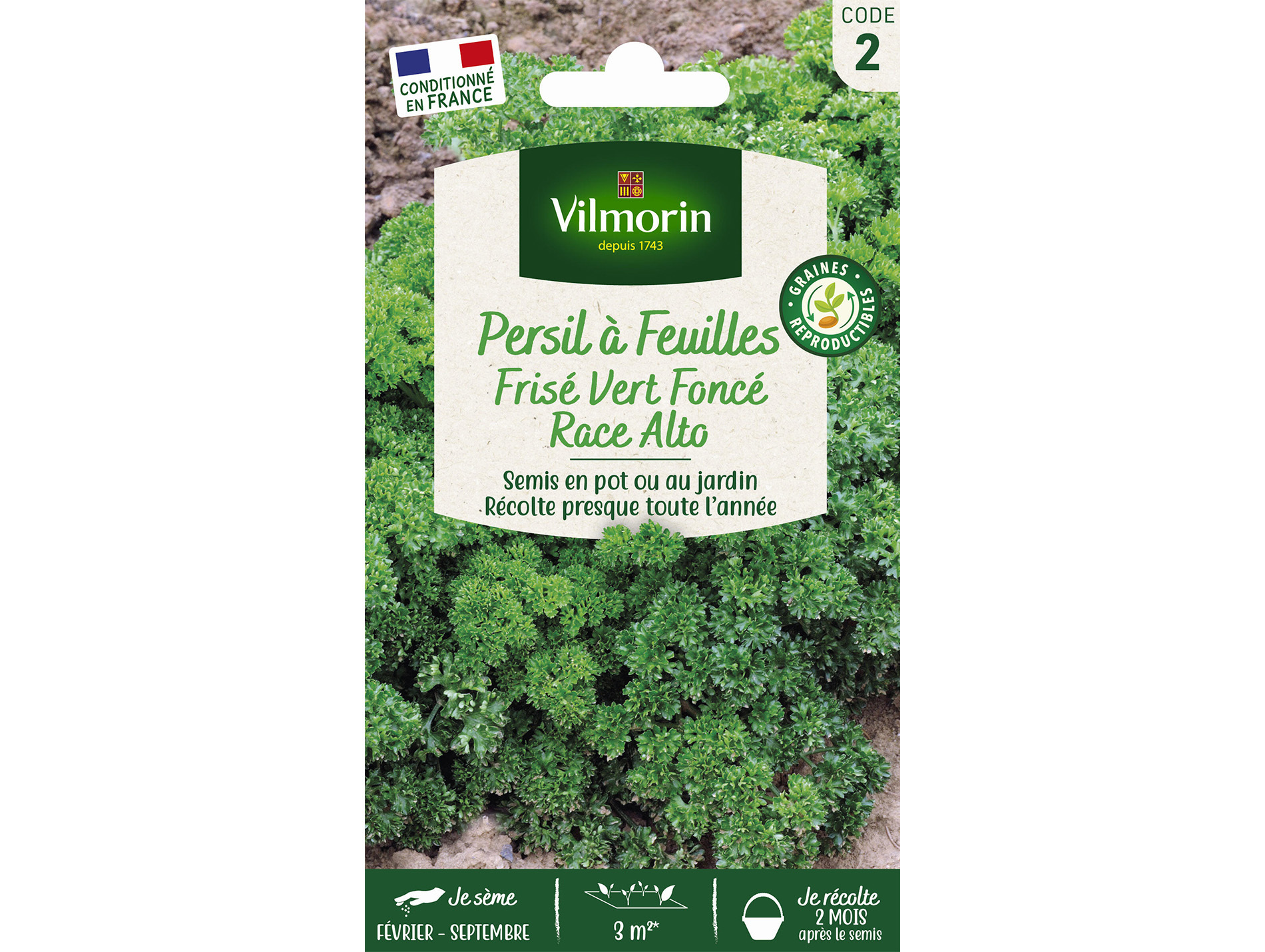 Persil Frisé vert foncé Race Alto VILMORIN Série 2