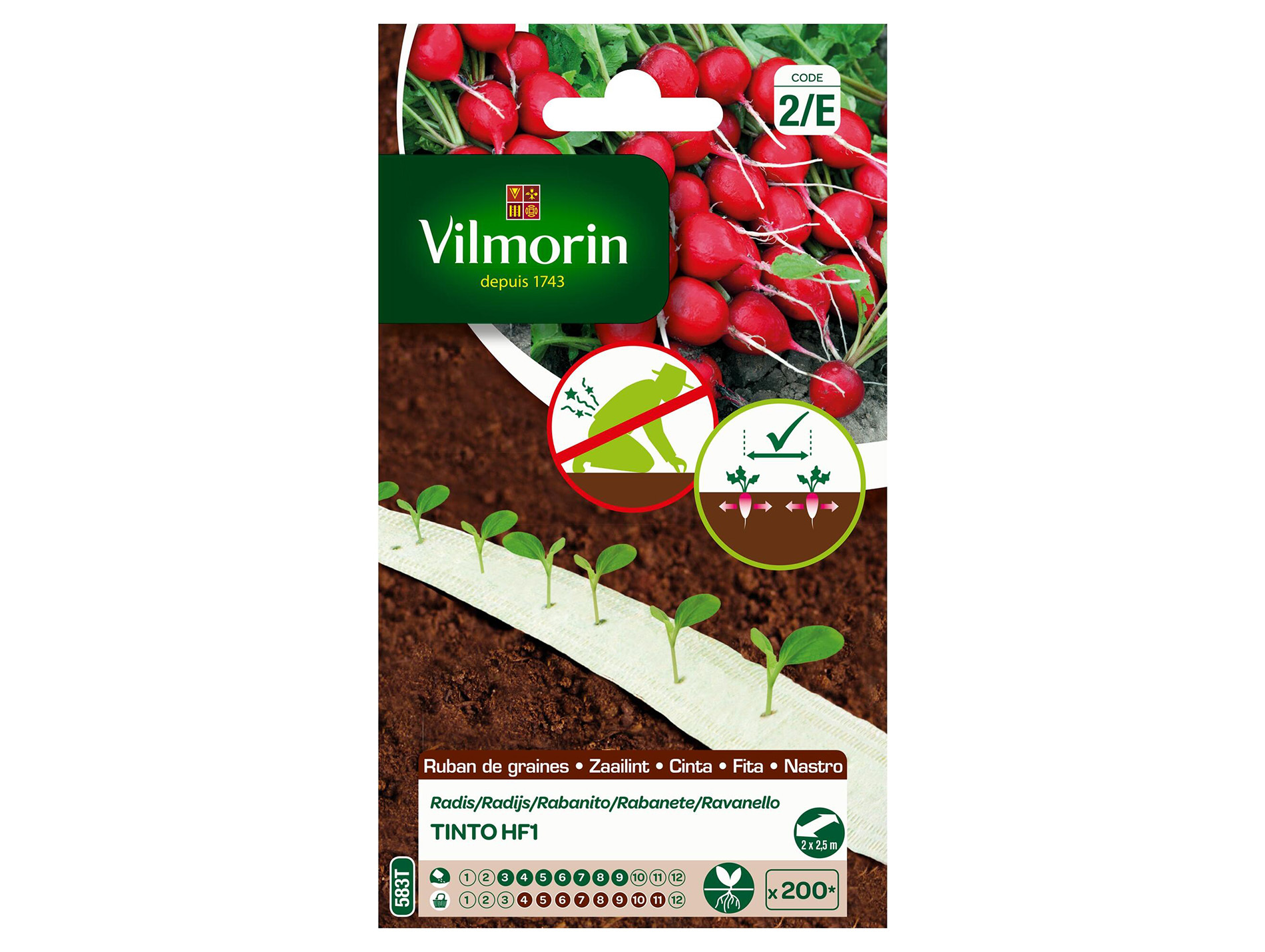 Ruban radis Tinto HF1 VILMORIN Série 2 5M
