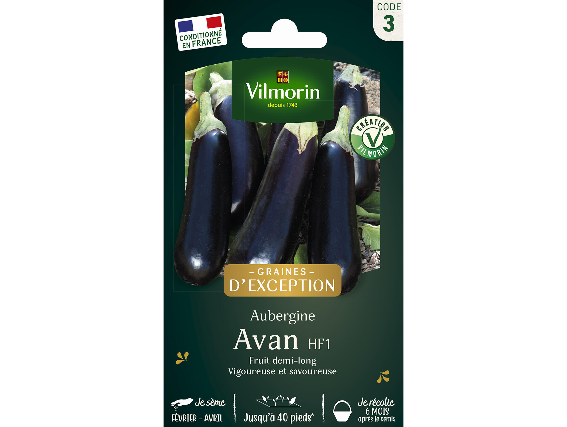 Aubergine Avan HF1 VILMORIN Série 3