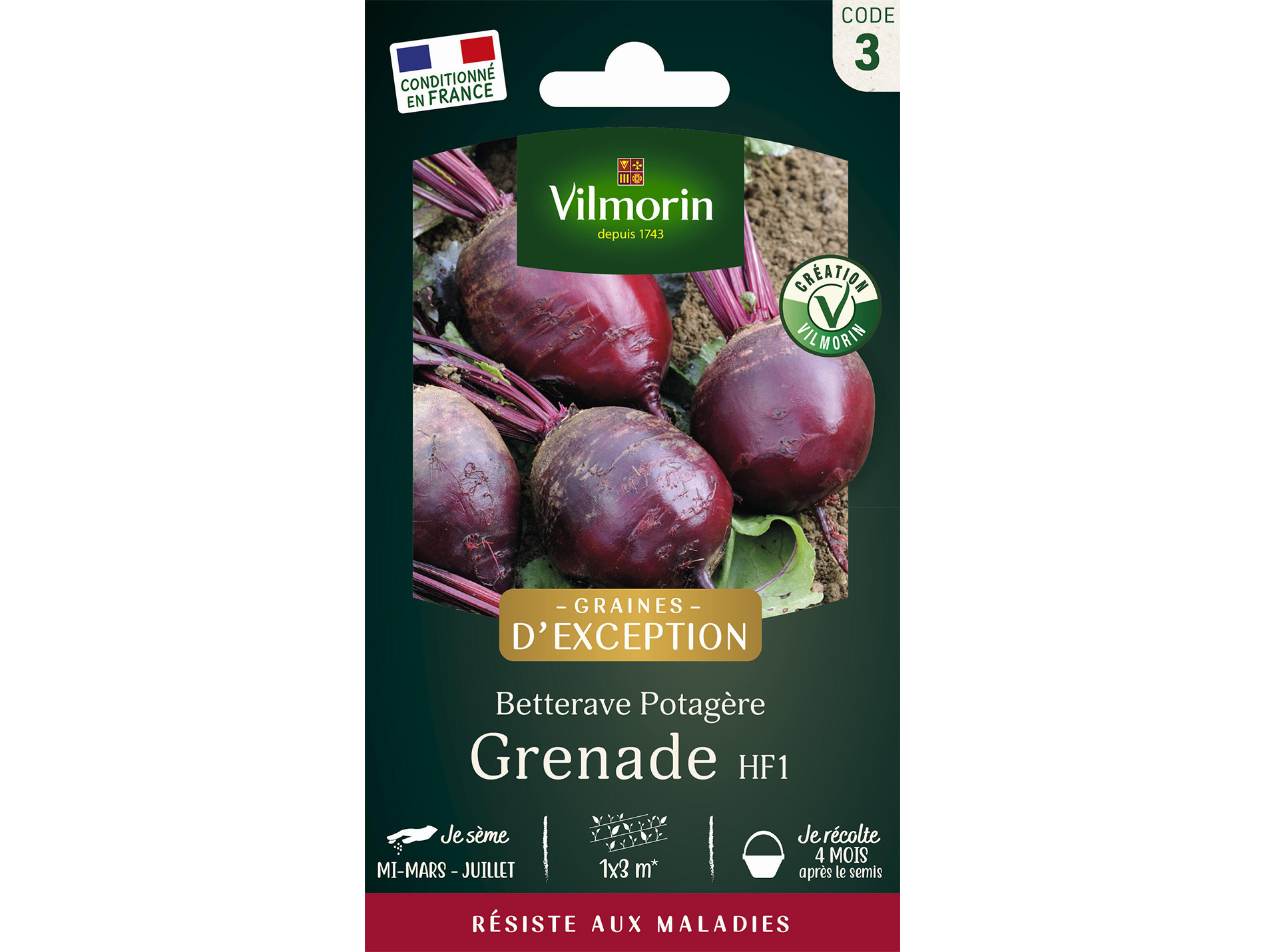 Betterave potagère Grenade HF1 VILMORIN Série 3