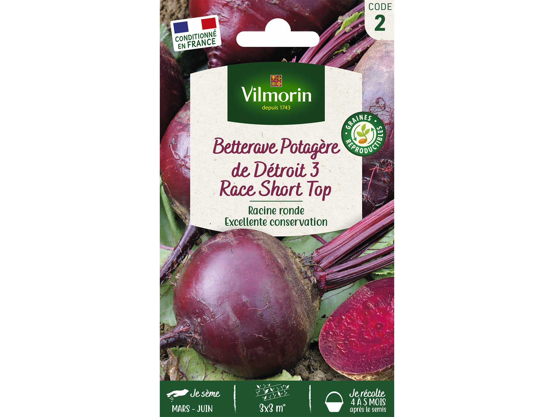 Betterave potagère de Détroit 3 Race Short Top VILMORIN Série 2
