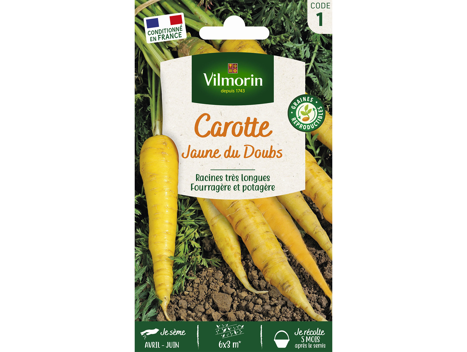 Carotte Jaune du Doubs VILMORIN Série 1