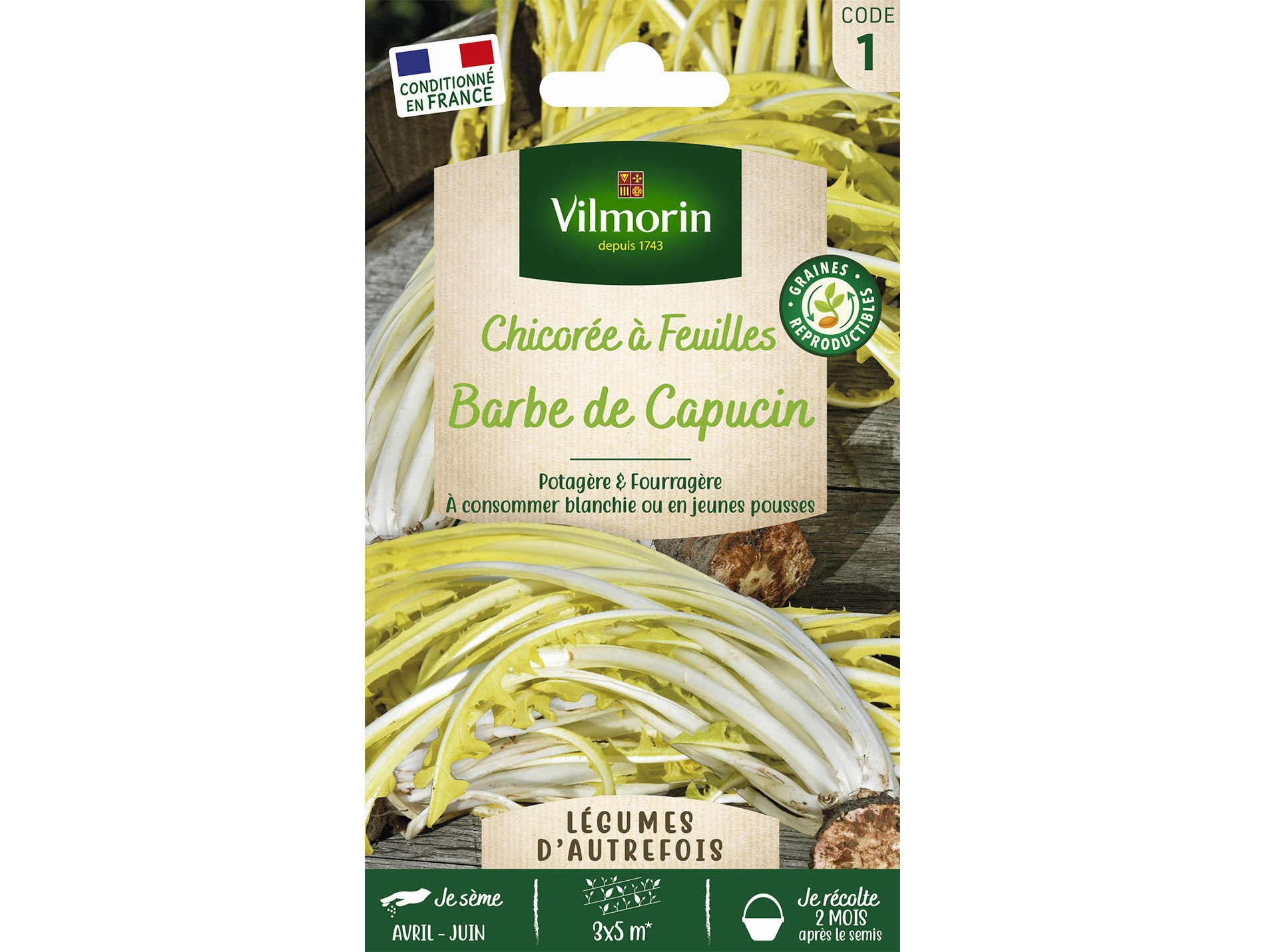 Chicorée à feuille sauvage Amère Barbe de Capucin VILMORIN Série 1