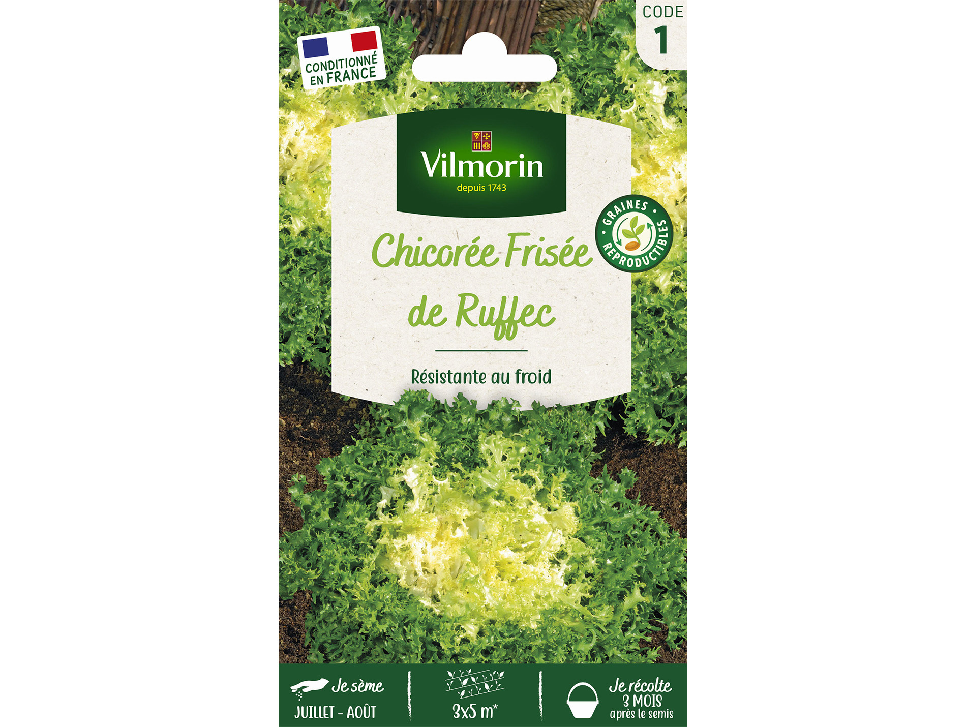 Chicorée frisée de Ruffec VILMORIN Série 1
