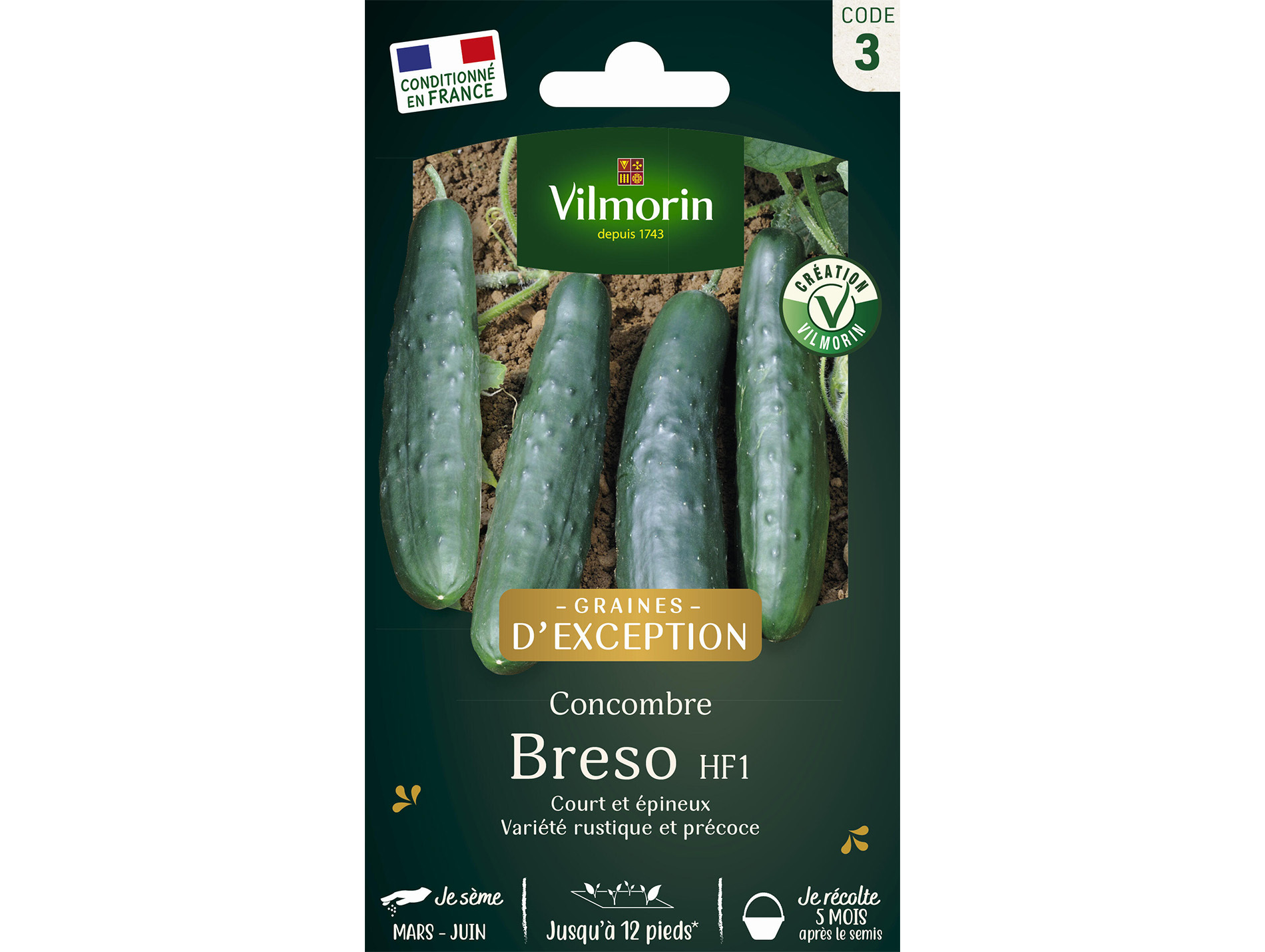 Cocombre Breso HF1 VILMORIN Série 3