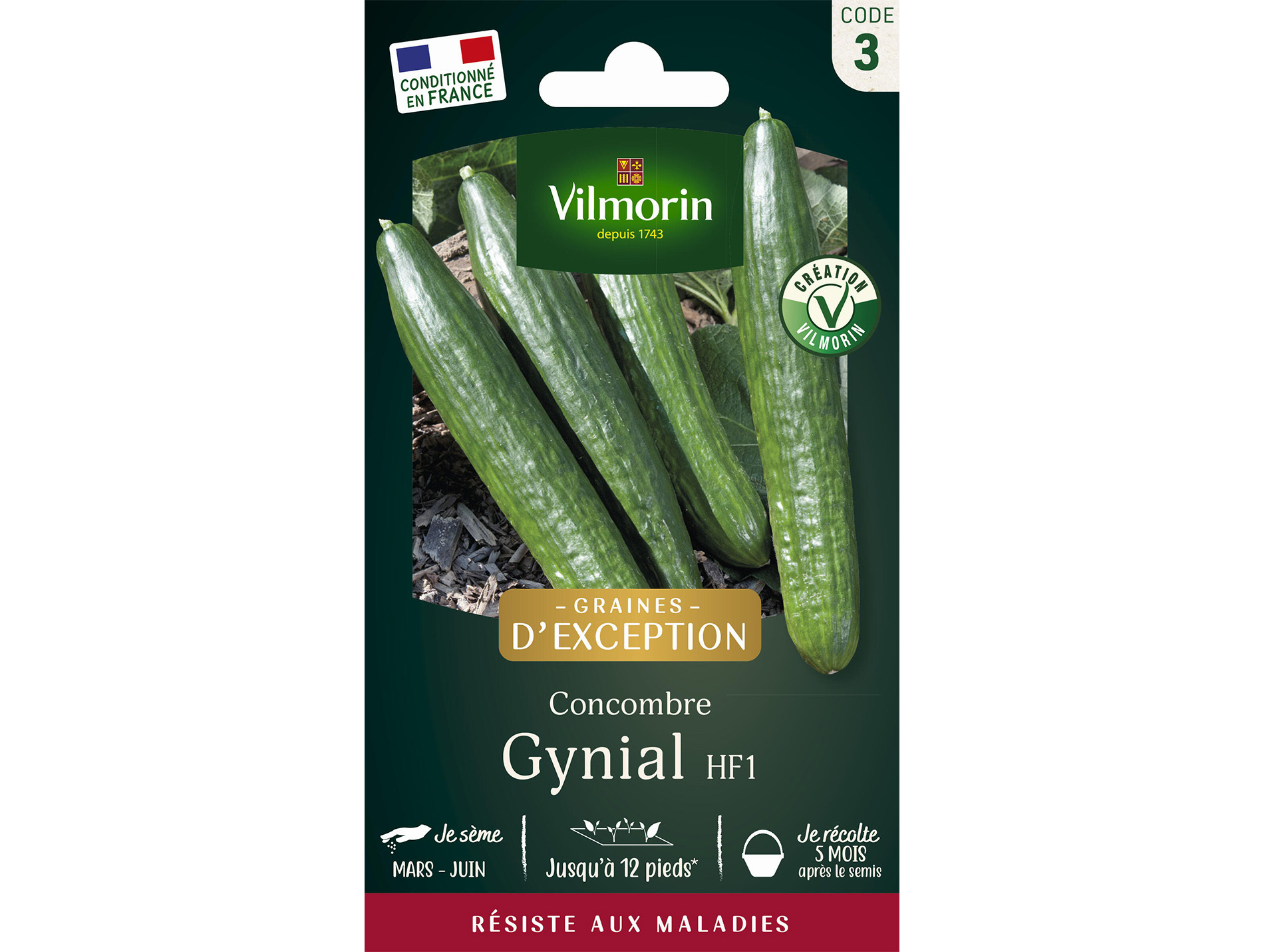 Cocombre Gynial F1 VILMORIN Série 3