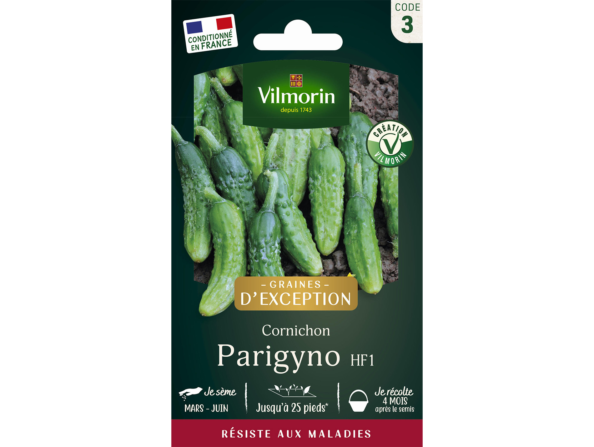 Cornichon Parigyno HF1 VILMORIN Série 3